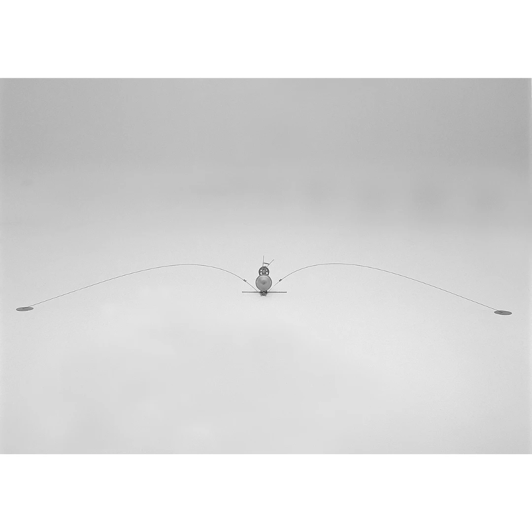 Dittero solitario, 1995 - Piero FOGLIATI