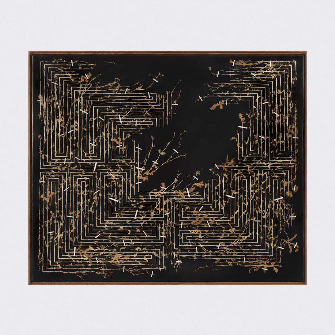 Golden Thread I, 2026 - Gerhard MARX
