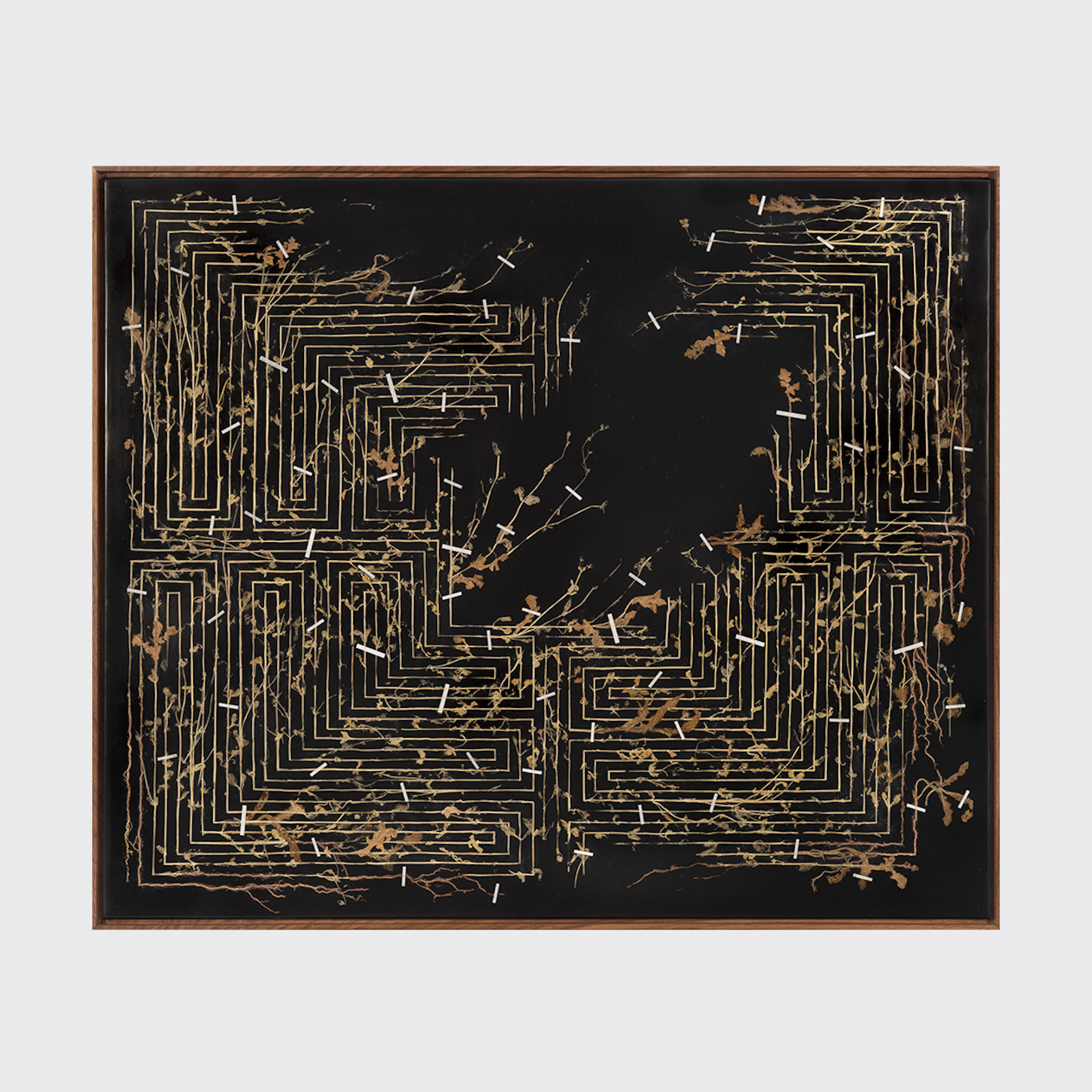 Golden Thread I, 2026 - Gerhard MARX
