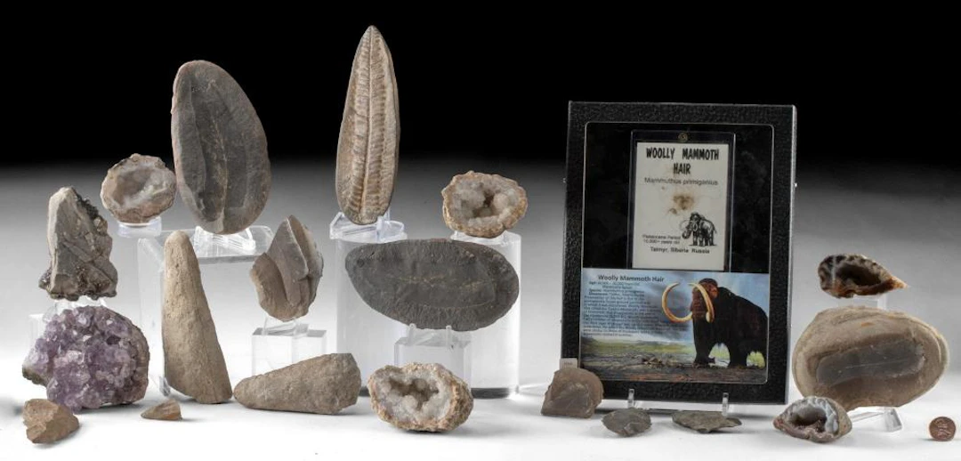 Mineral Collection, Geodes + Mammoth Fur & Fern Fossils