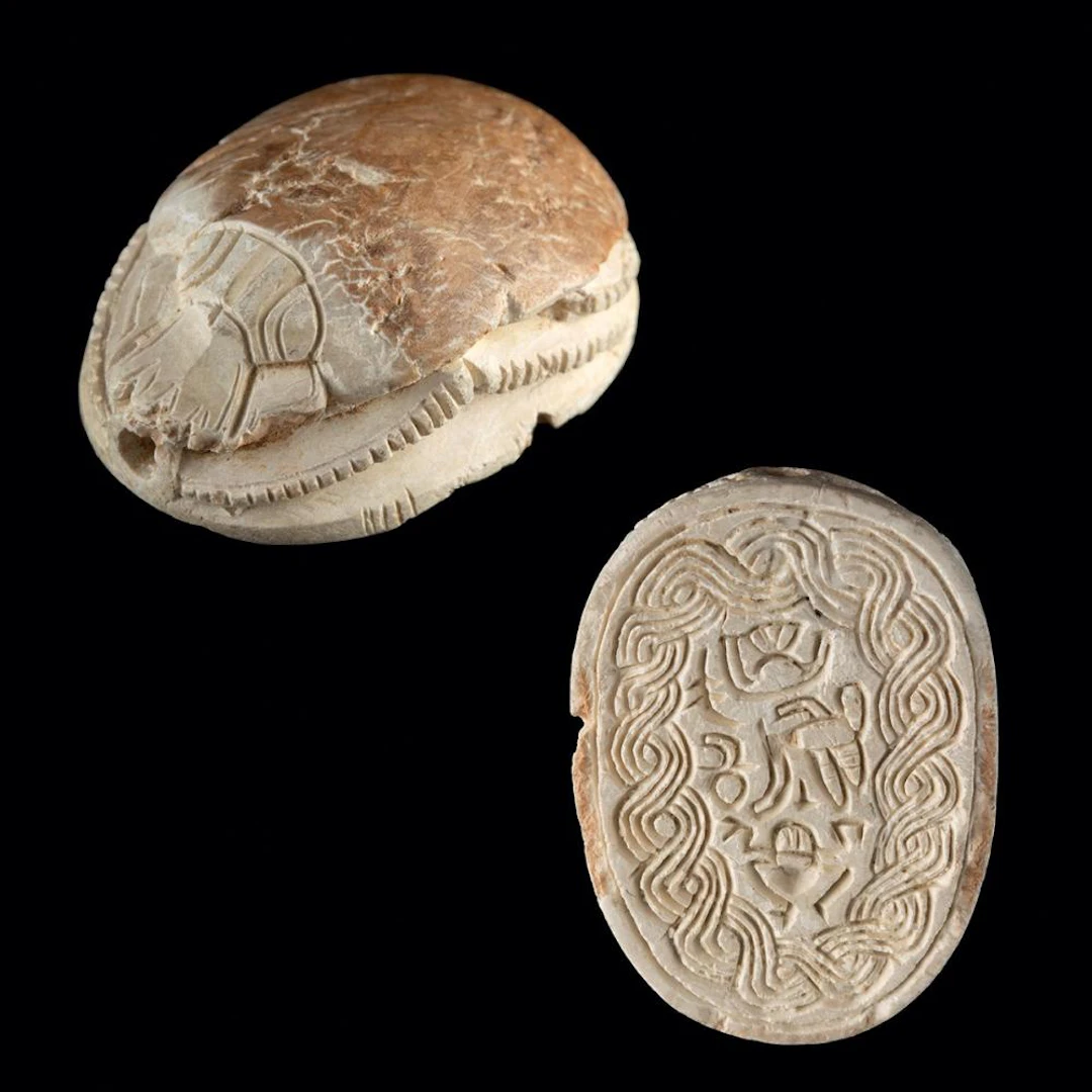 Egyptian Steatite Scarab - Beetle & Locust Within Rope Border