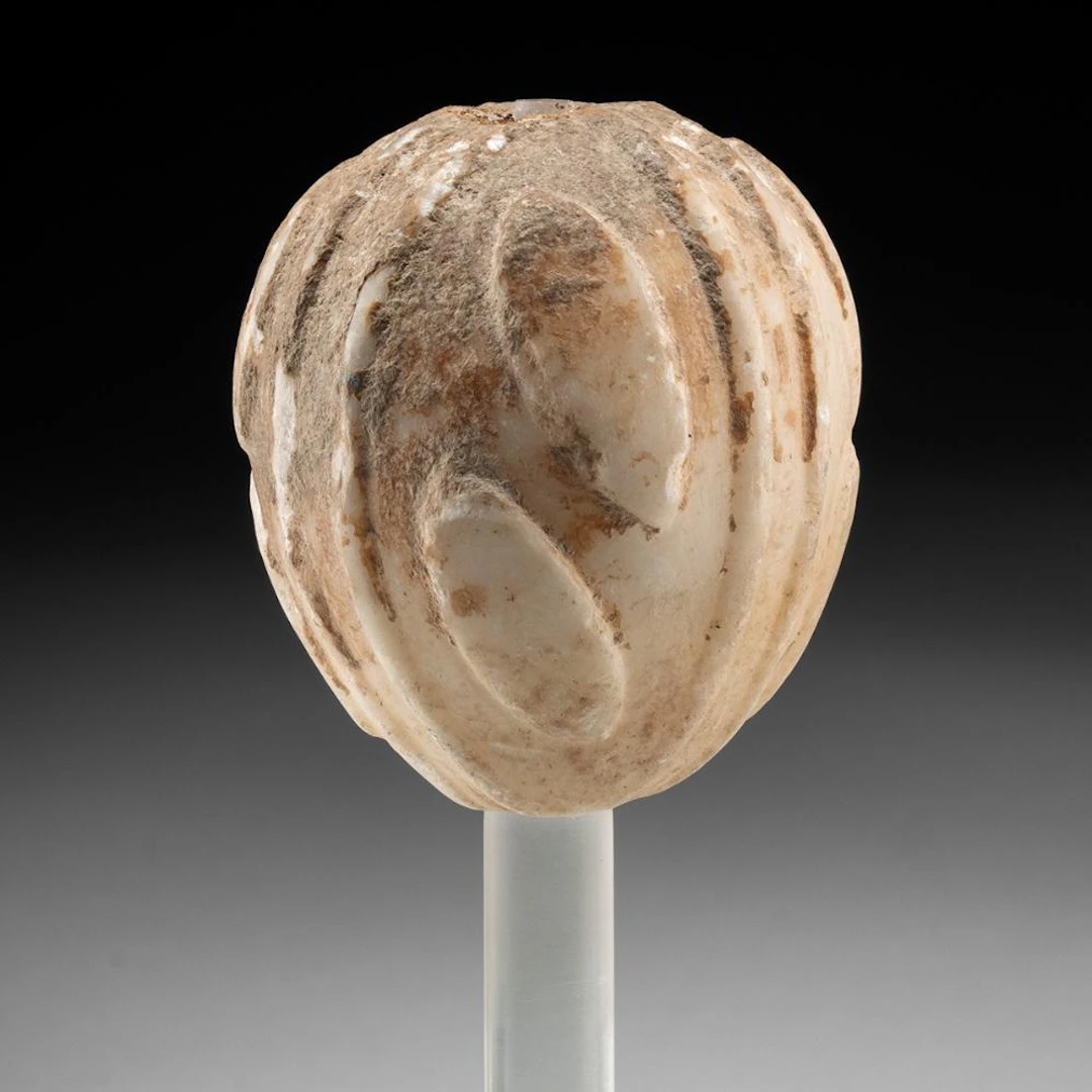 Egyptian Predynastic Alabaster Mace Head, Lotus Bud Form