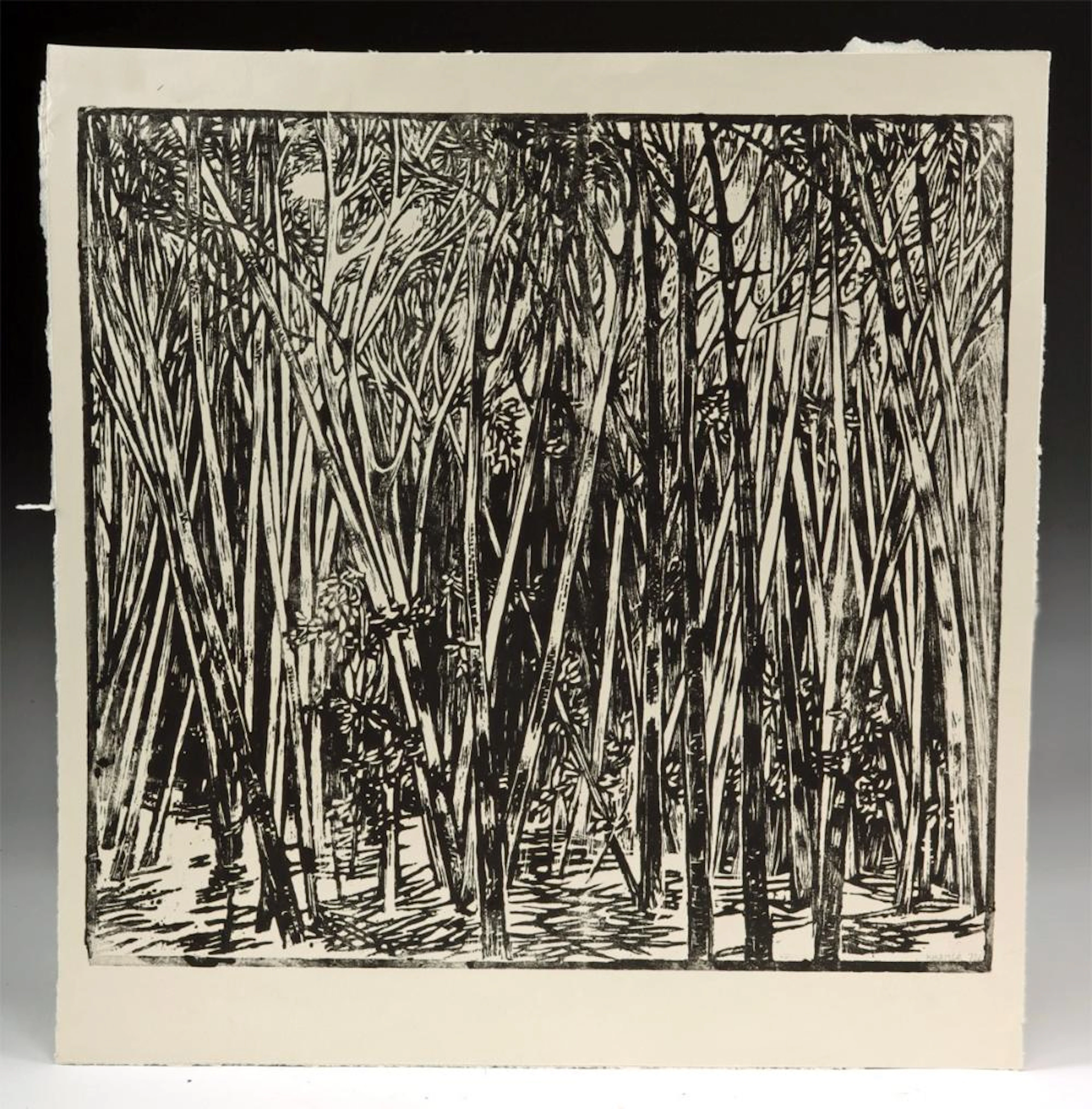 Edith Kramer Woodcut - Vermont Woods (1972)