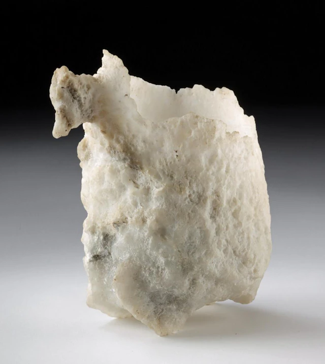 Maya Gypsum Effigy Vessel with Zoomorphic Head