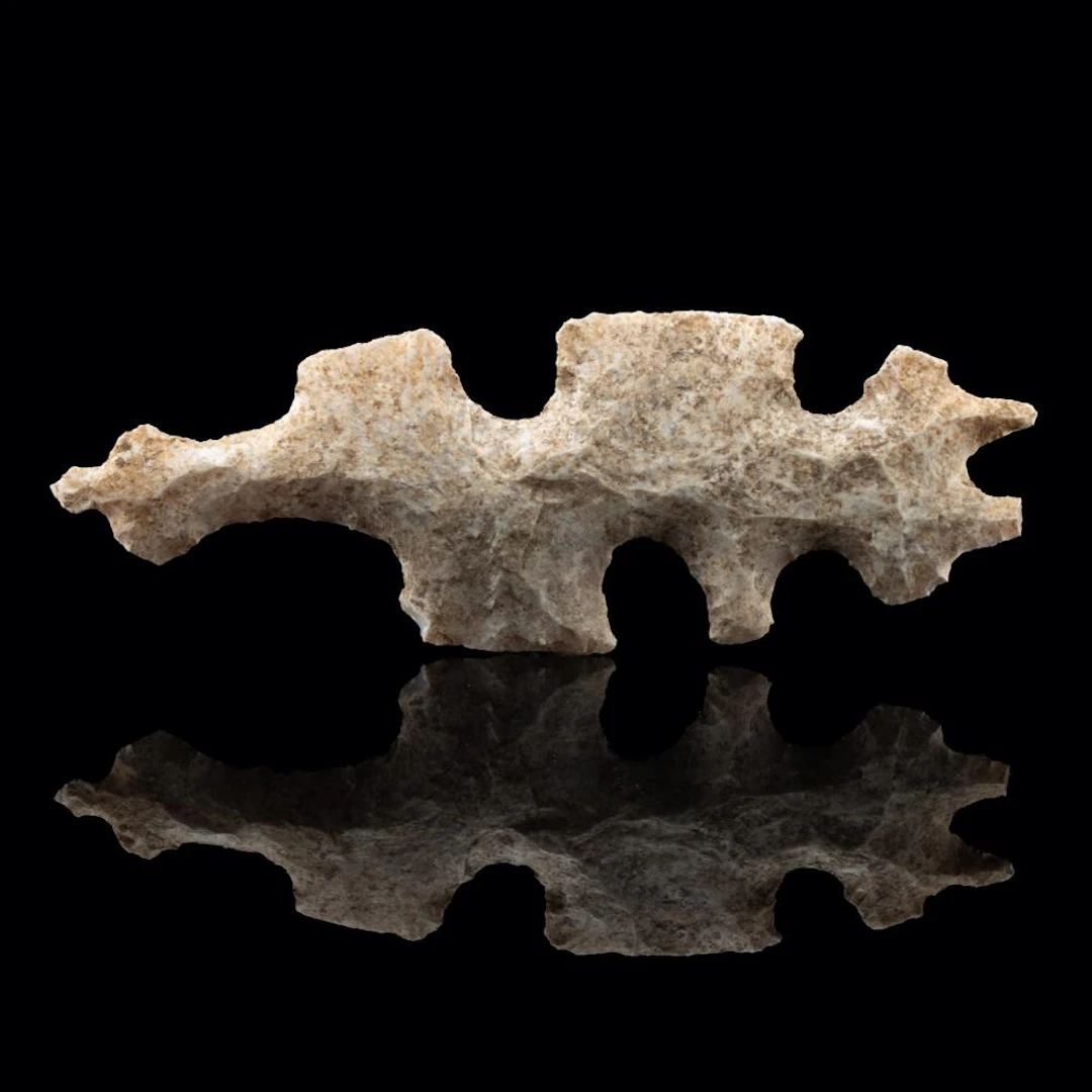 Maya Knapped Chert EccentricNotched Silhouette