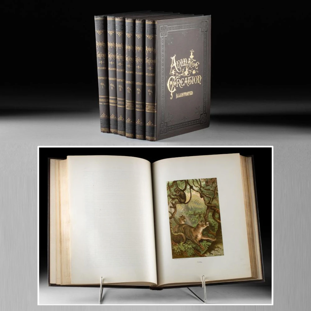 Six Volumes "Animate Creation" Illustrated Natural History by Rev.