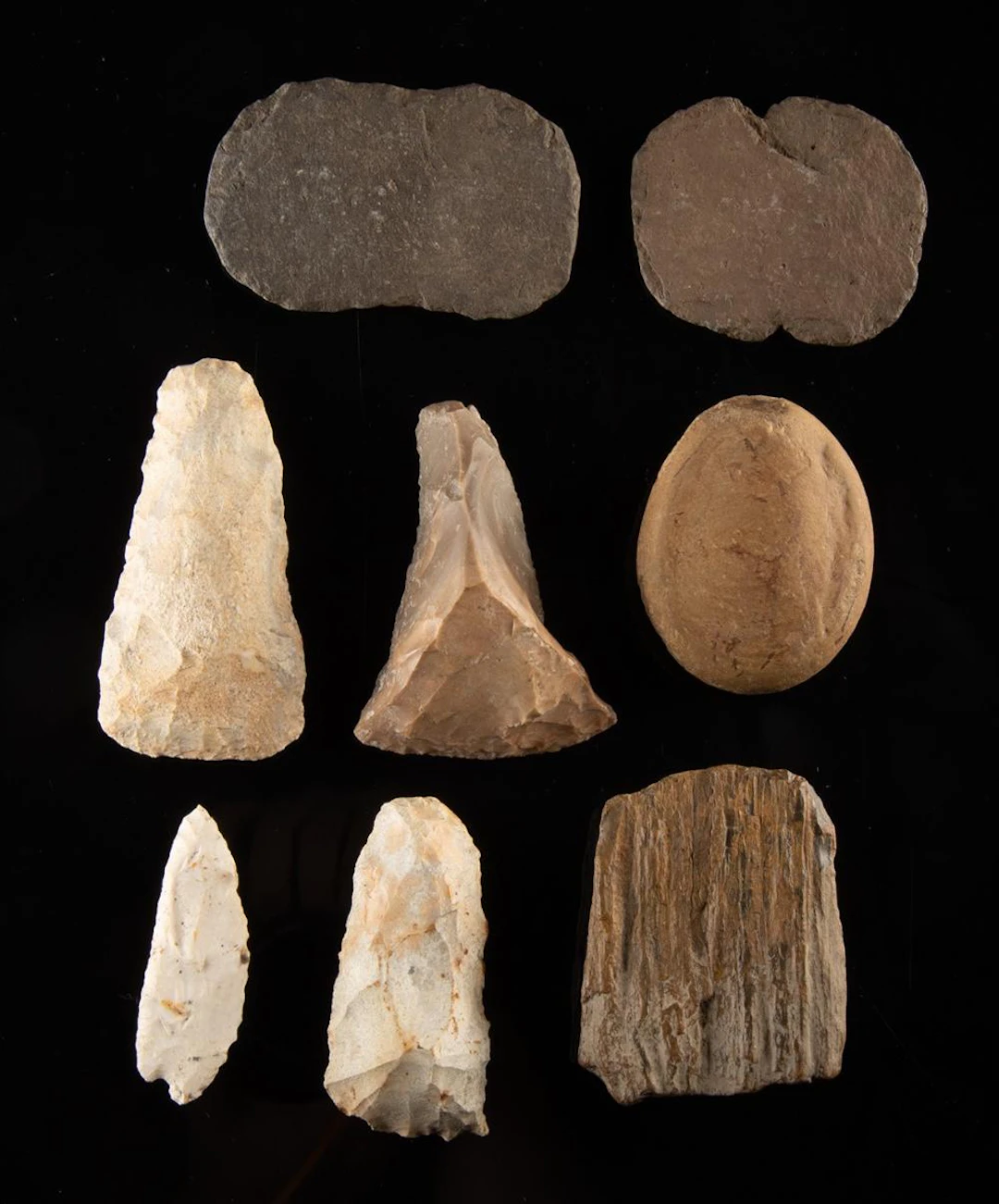 Lot of 7 Native American Stone Tools + Fossilized Wood