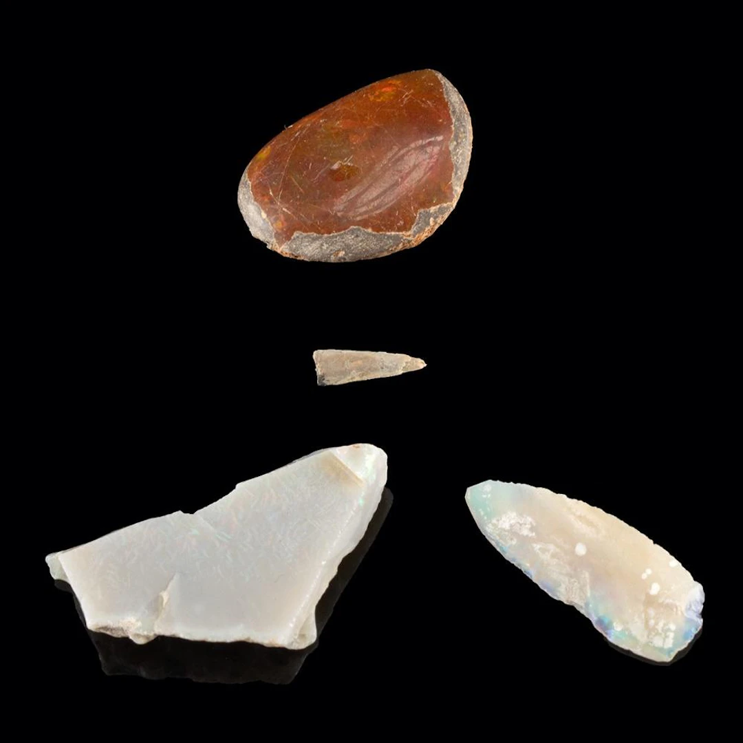 Cretaceous Dinosaur Tooth & Opals - Richardoestesia, Hell Creek Formation