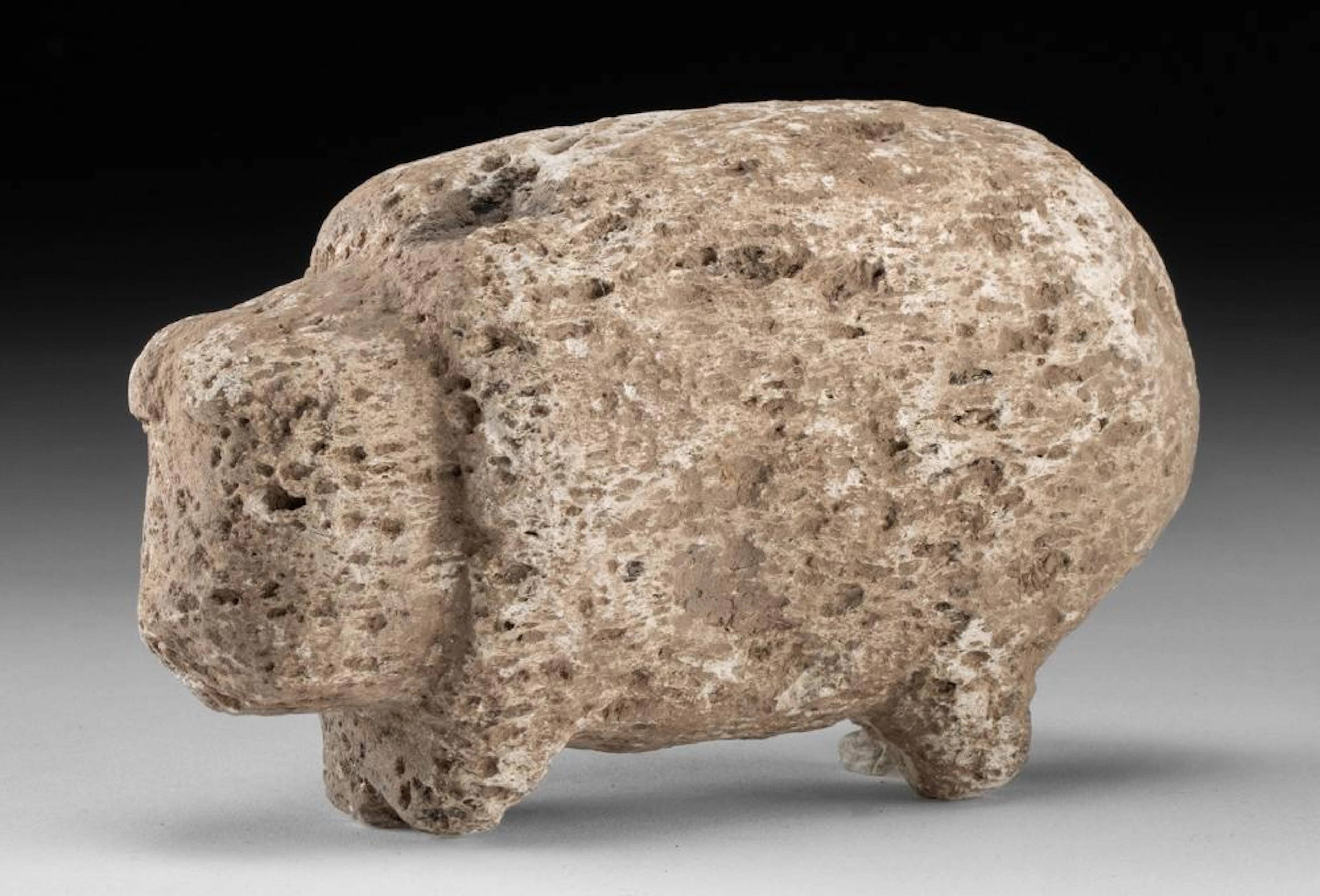 Rare Anasazi Mimbres Coral Animal Effigy Carving