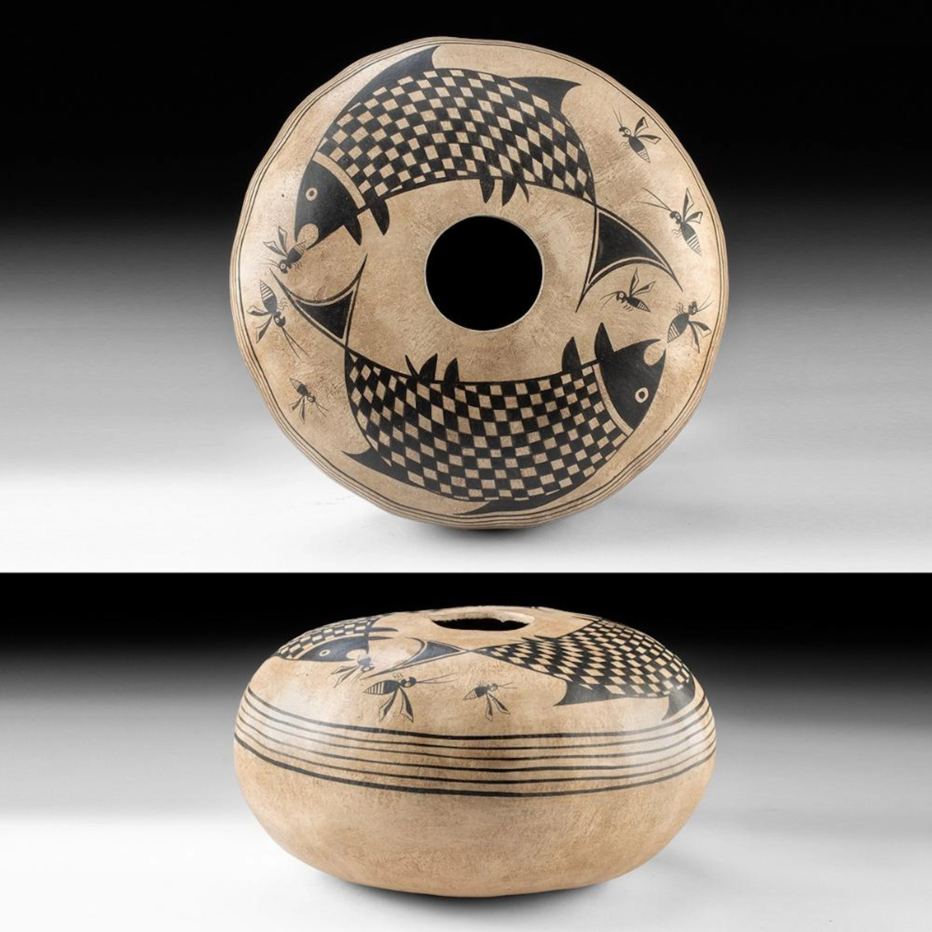 Black on White Gourd with Fish & Insects Mimbres Style by John Schaefer
