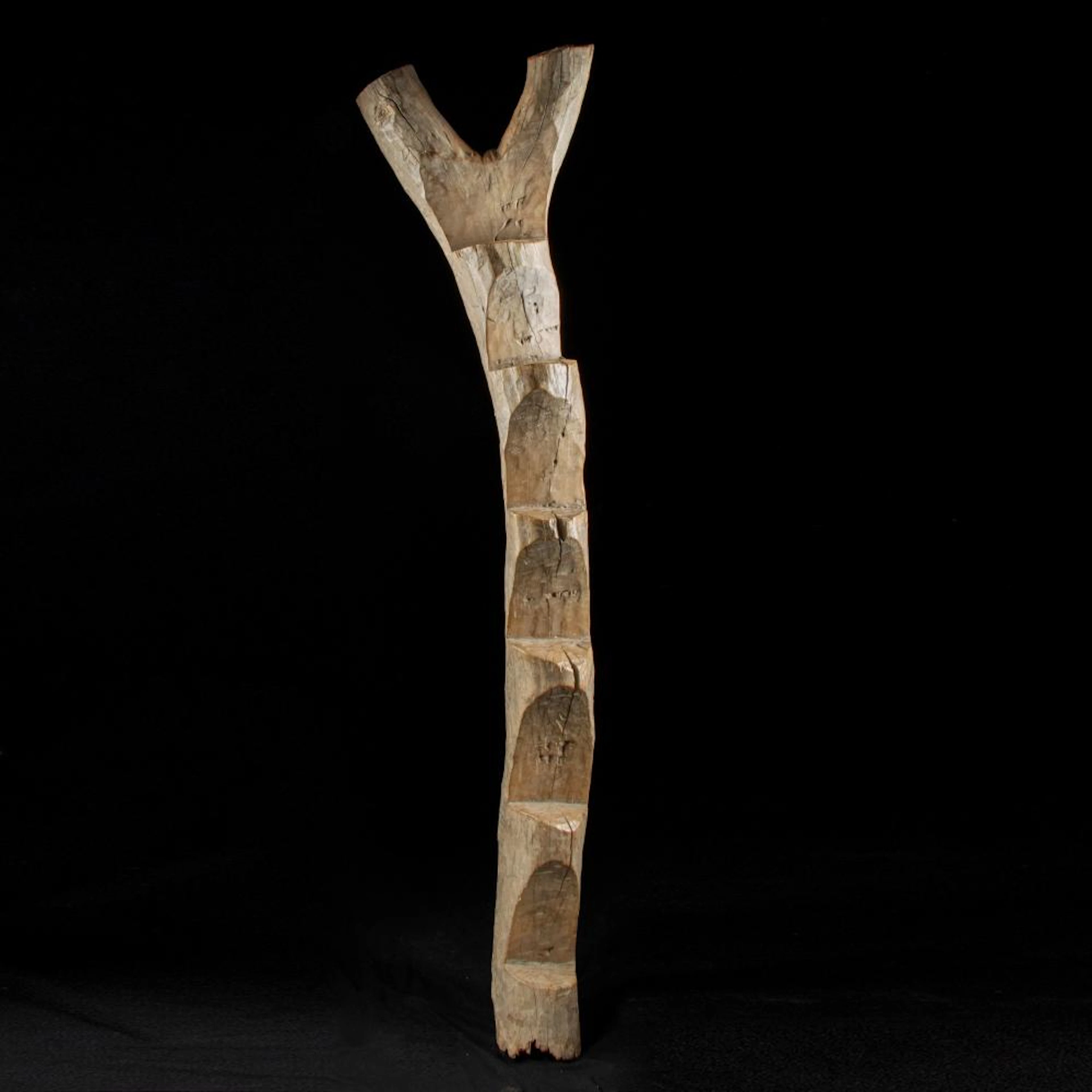 Lobi Carved Wood Y-Shaped Ladder, West Africa
