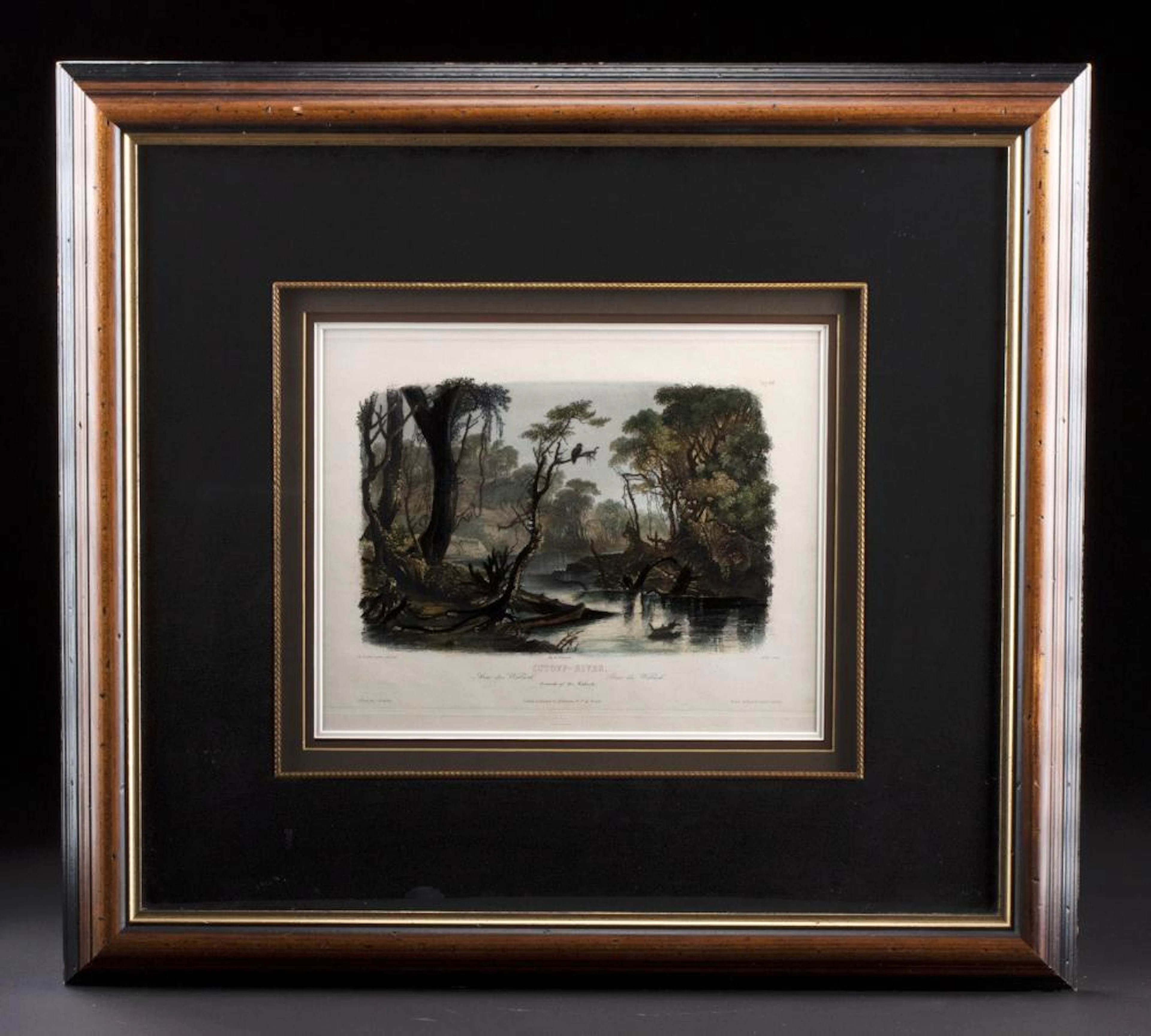 Bodmer Engraving "Cutoff-River Branch of the Wabash"
