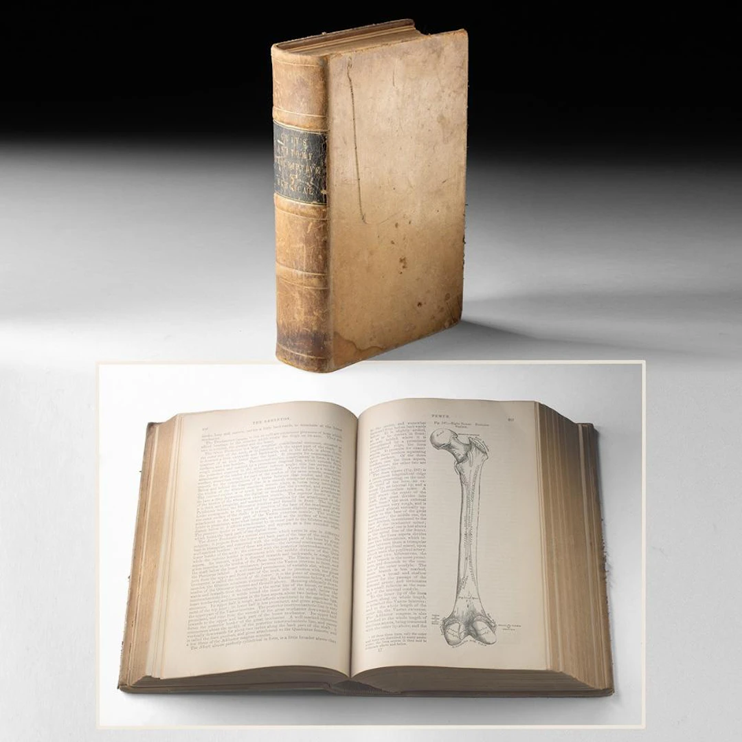 Gray's Anatomy, Descriptive and Surgical, 1878 Henry C. Lea Philadelphia