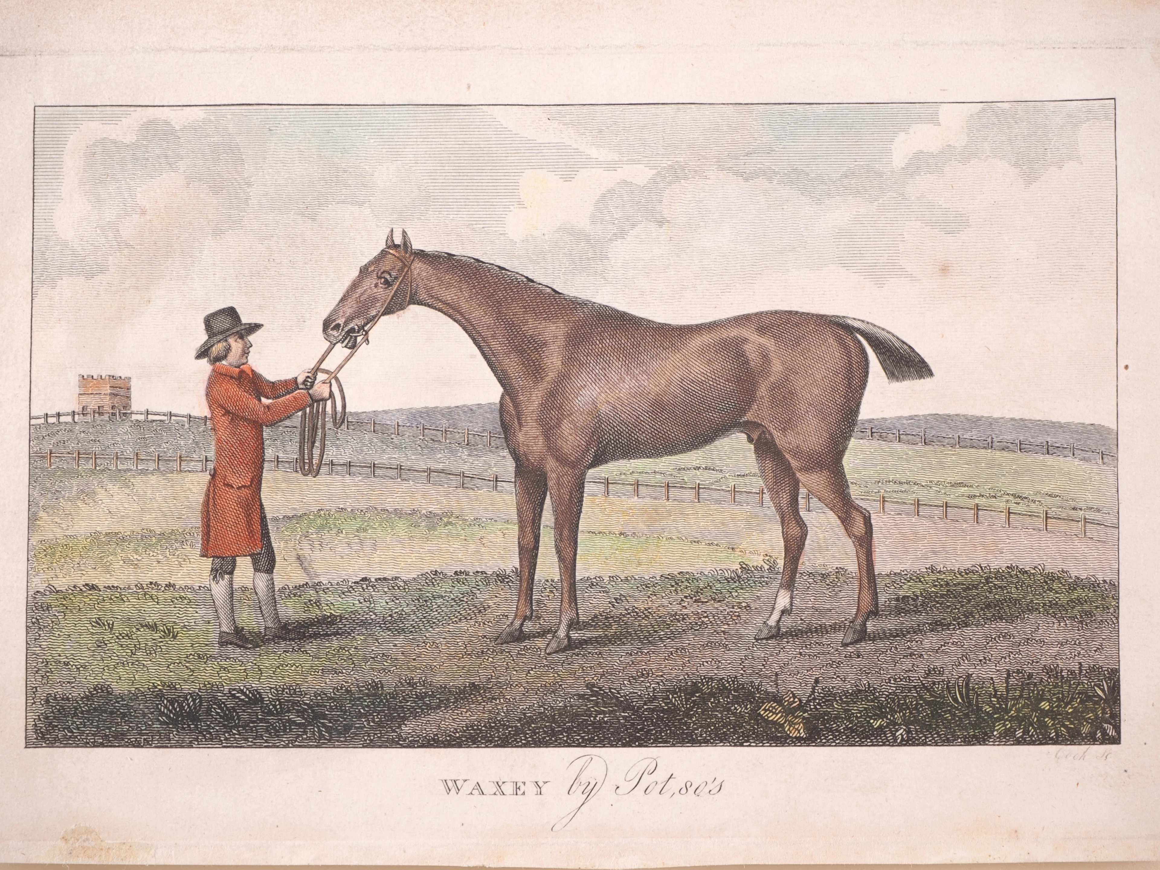Los 240: Pferdeknecht mit Vollblut-Rennpferd Waxey - Stich um 1795