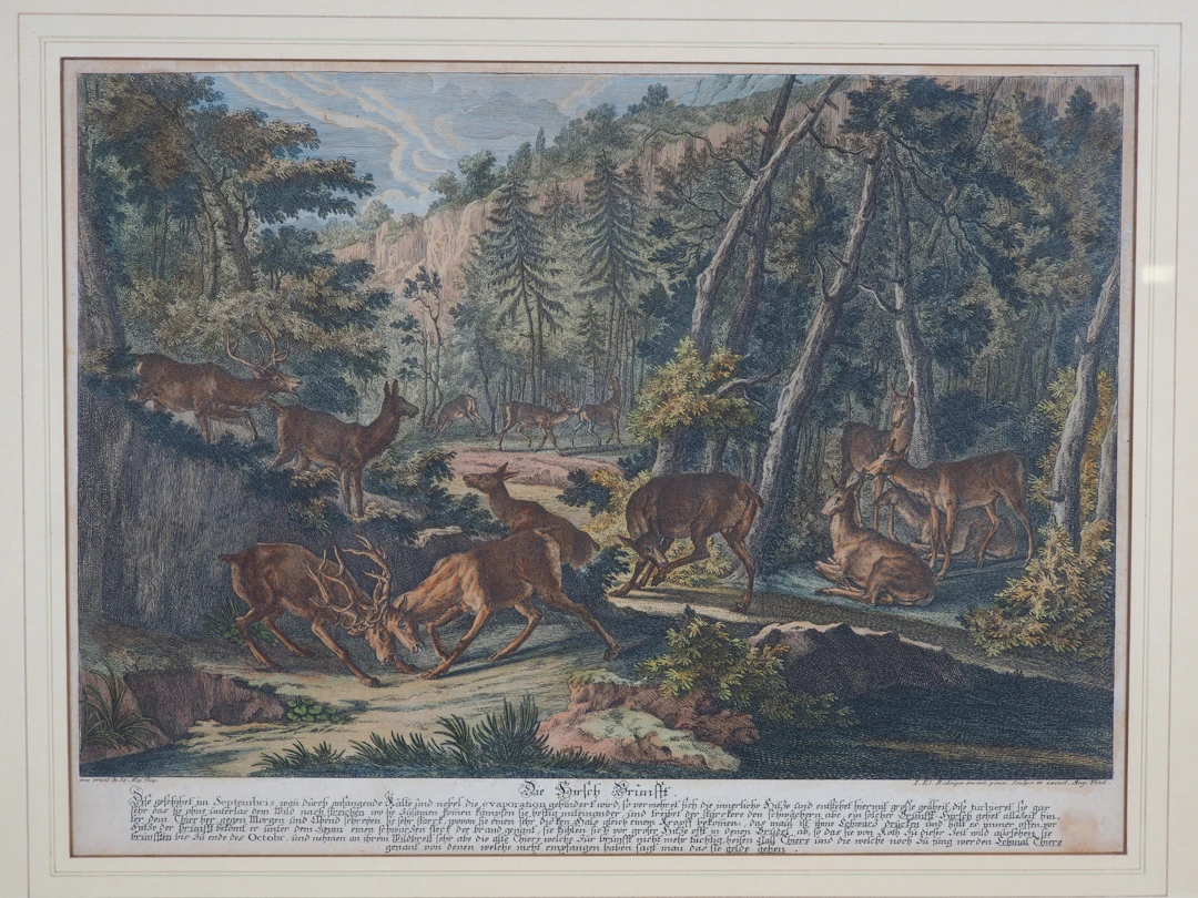 Los 239: Johann Elias Ridinger (Ulm 1698 - 1767 Augsburg) - Die Hirsch