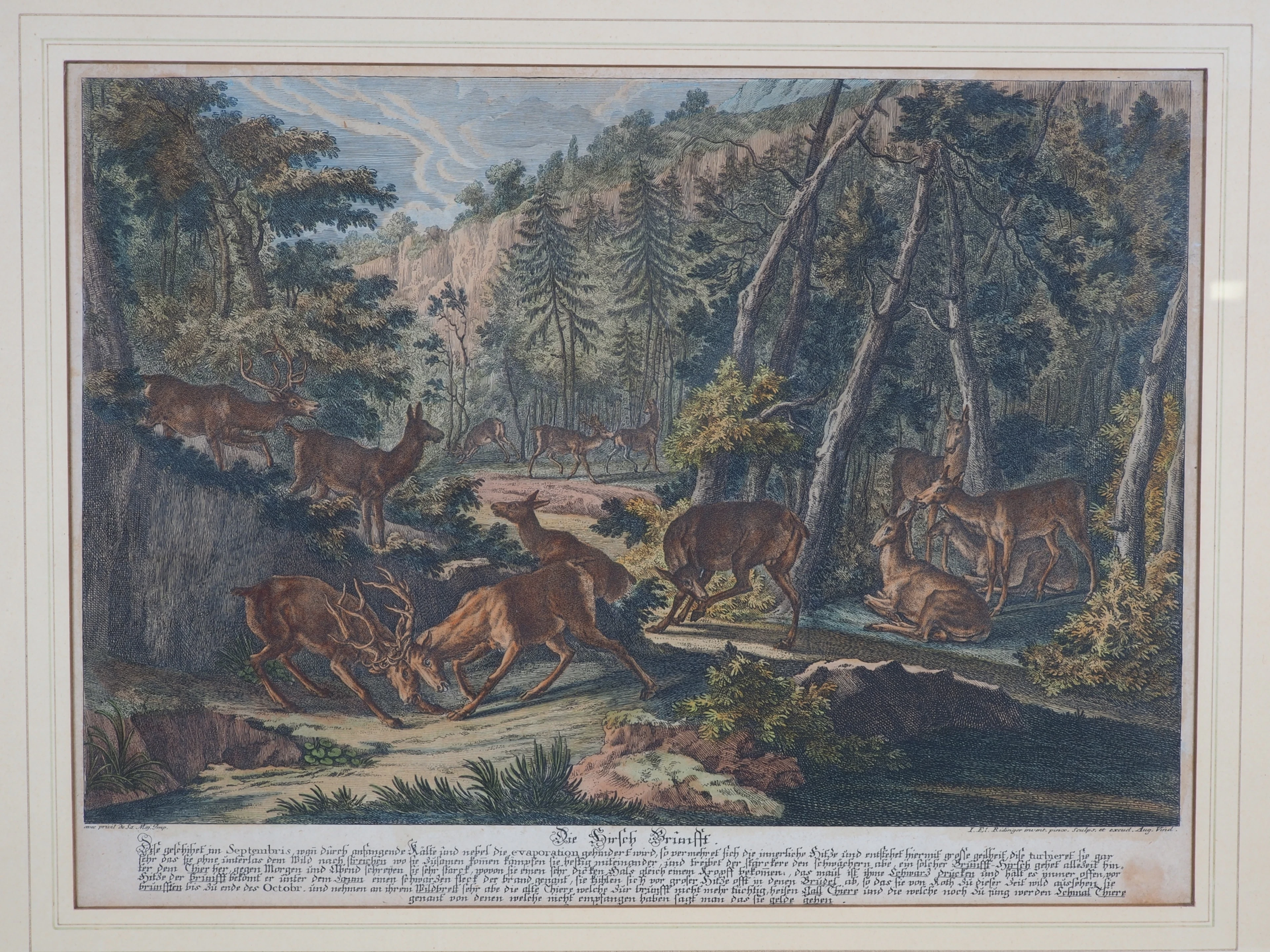 Los 239: Johann Elias Ridinger (Ulm 1698 - 1767 Augsburg) - Die Hirsch