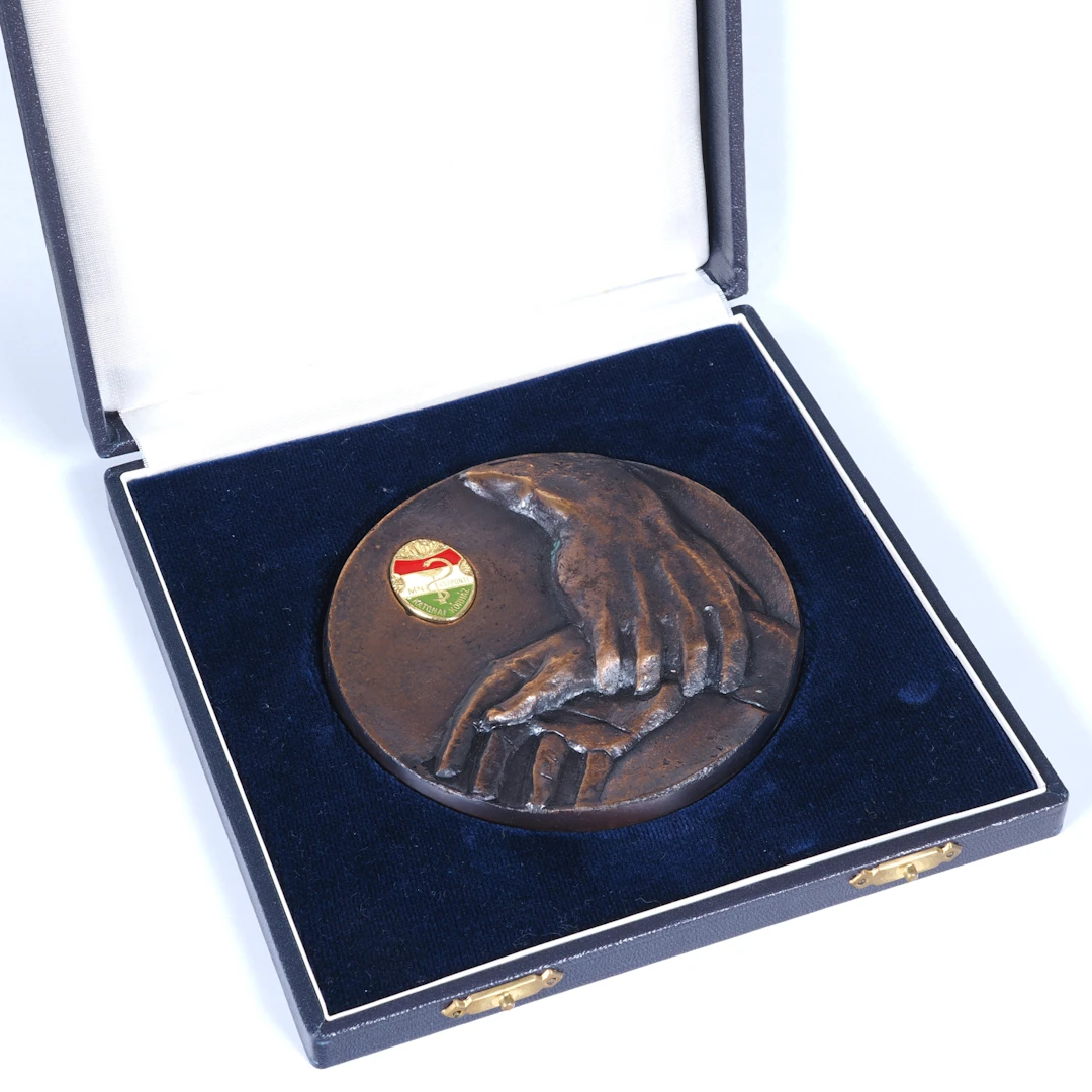 Los 1403: Ungarn Bronze Medaille für Medizin im Etui, MN Központi