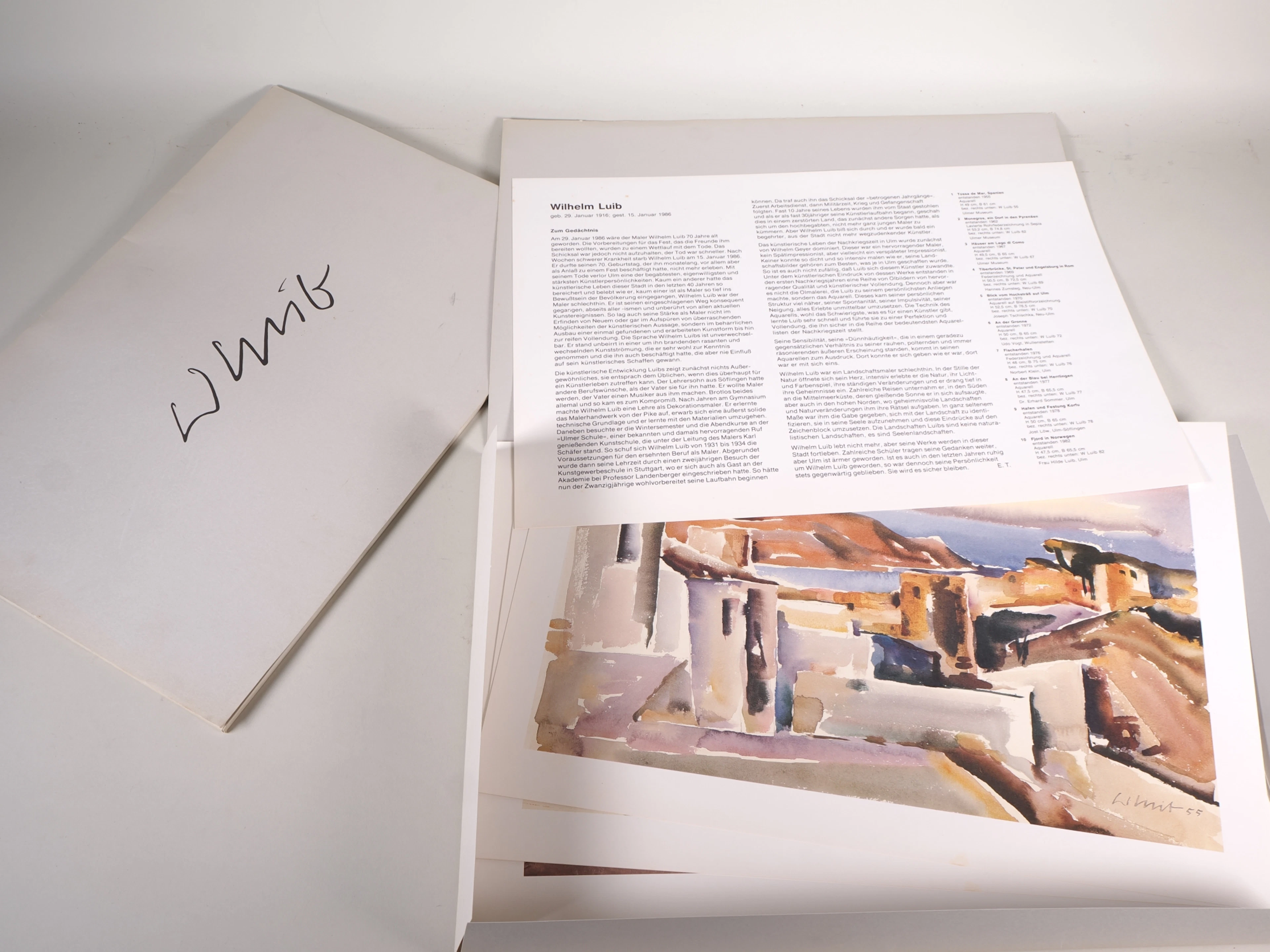 Los 229: 2x Wilhelm Luib Künstlermappen mit je 10 Druckgrafiken