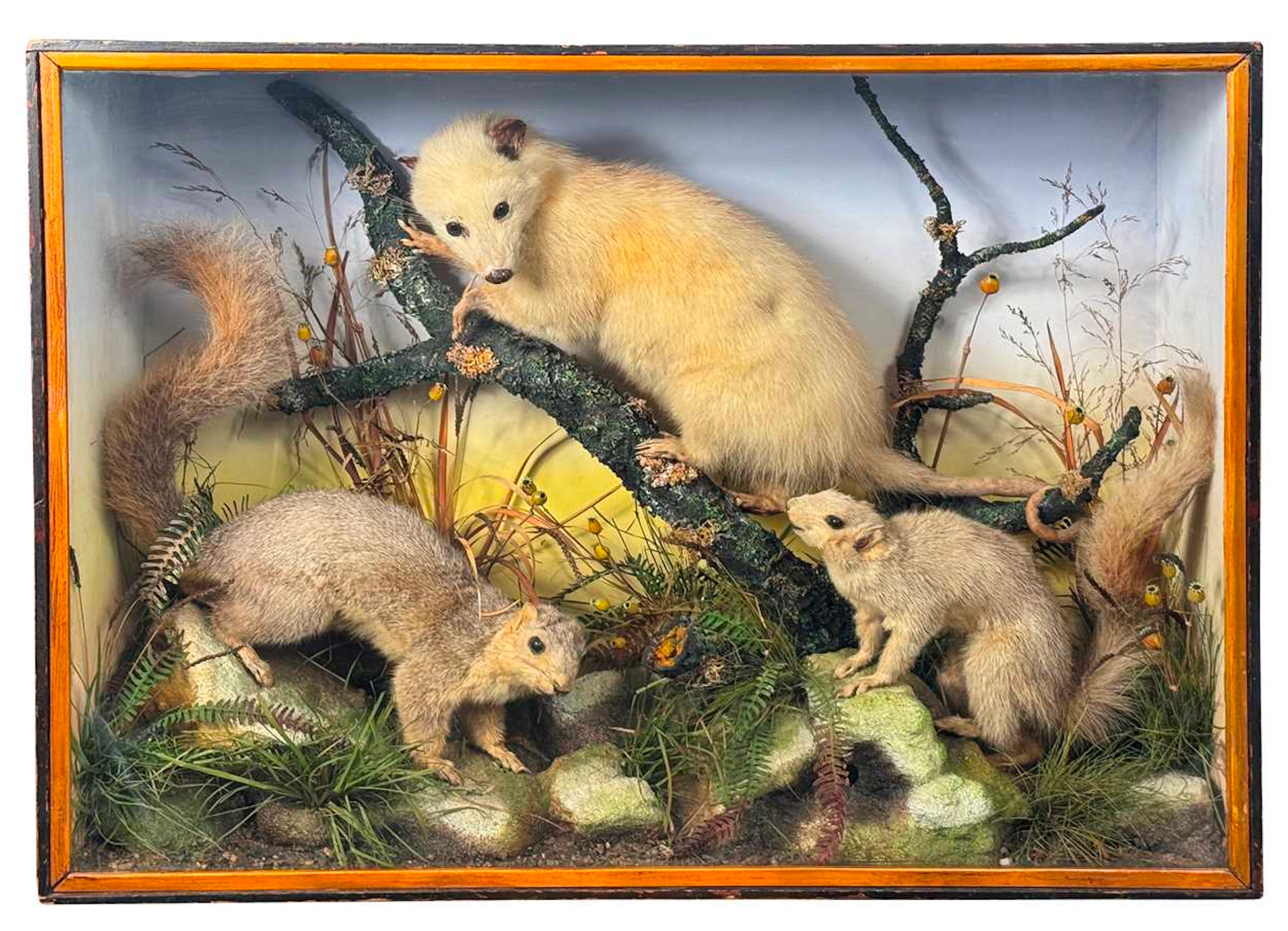 Taxidermy group