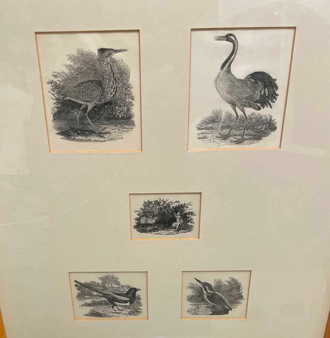 Thomas Bewick