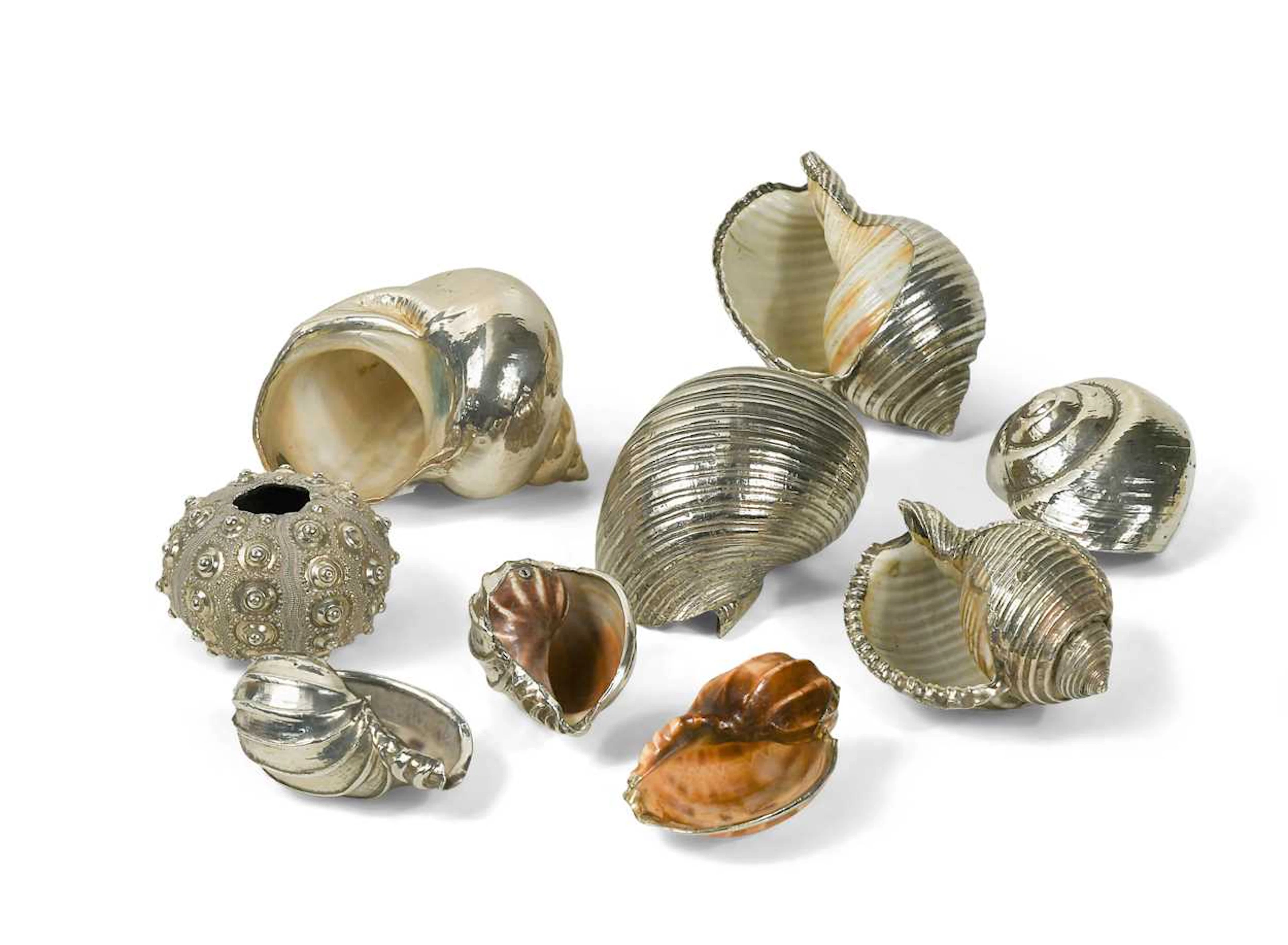 A collection of silver-plated seashells, modern