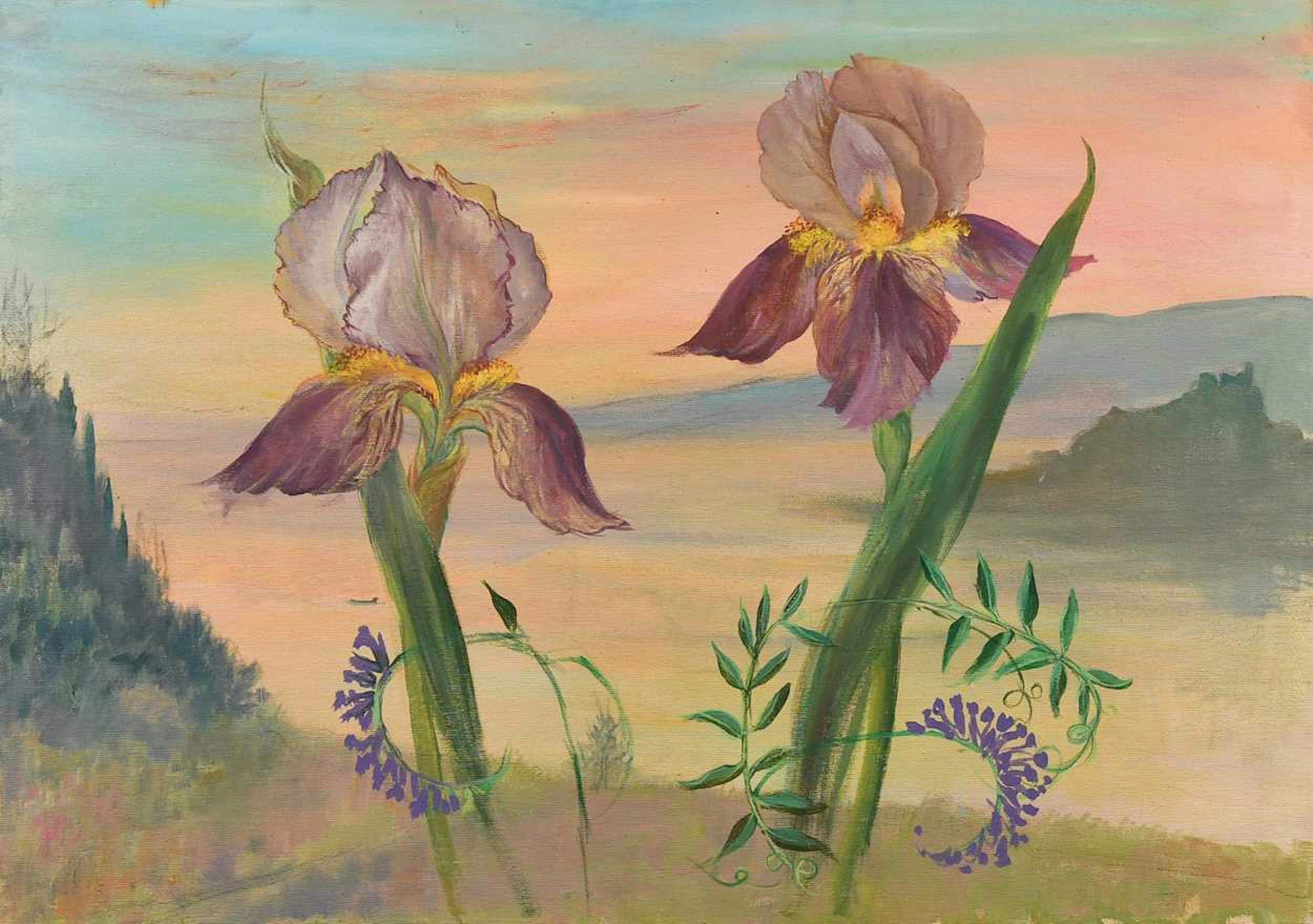 Bettina Shaw-Lawrence (1921-2018)