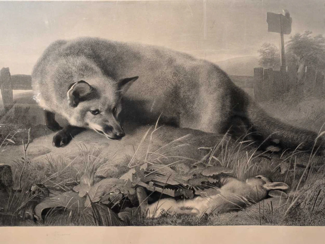 Sir Edwin Landseer (British, 1802-1873)