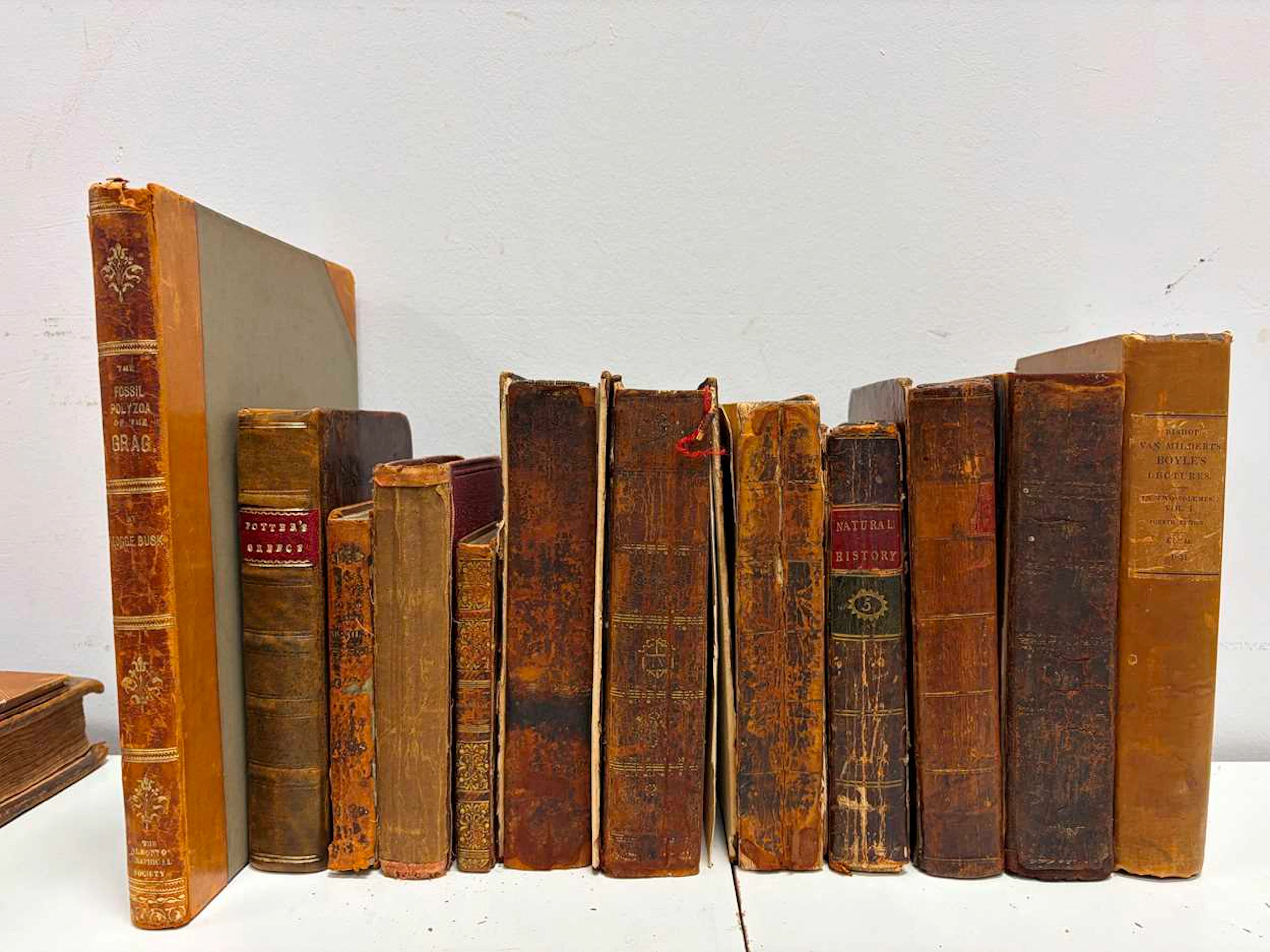 Natural history etc., illustrated.