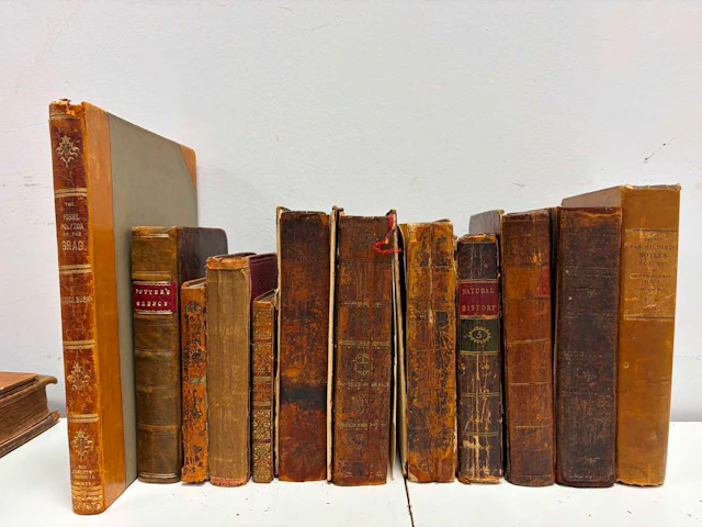 Natural history etc., illustrated.