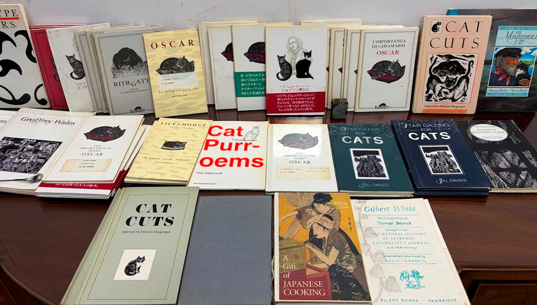 Silent Books (publishers, Cambridge)
