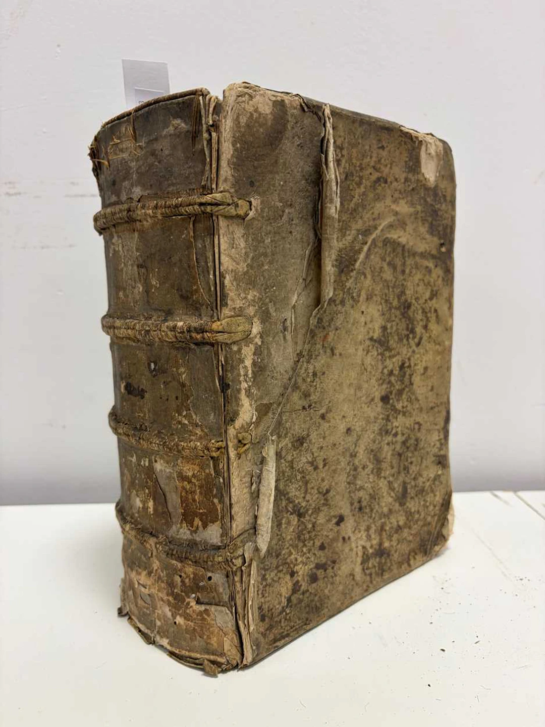 Bible in Latin.