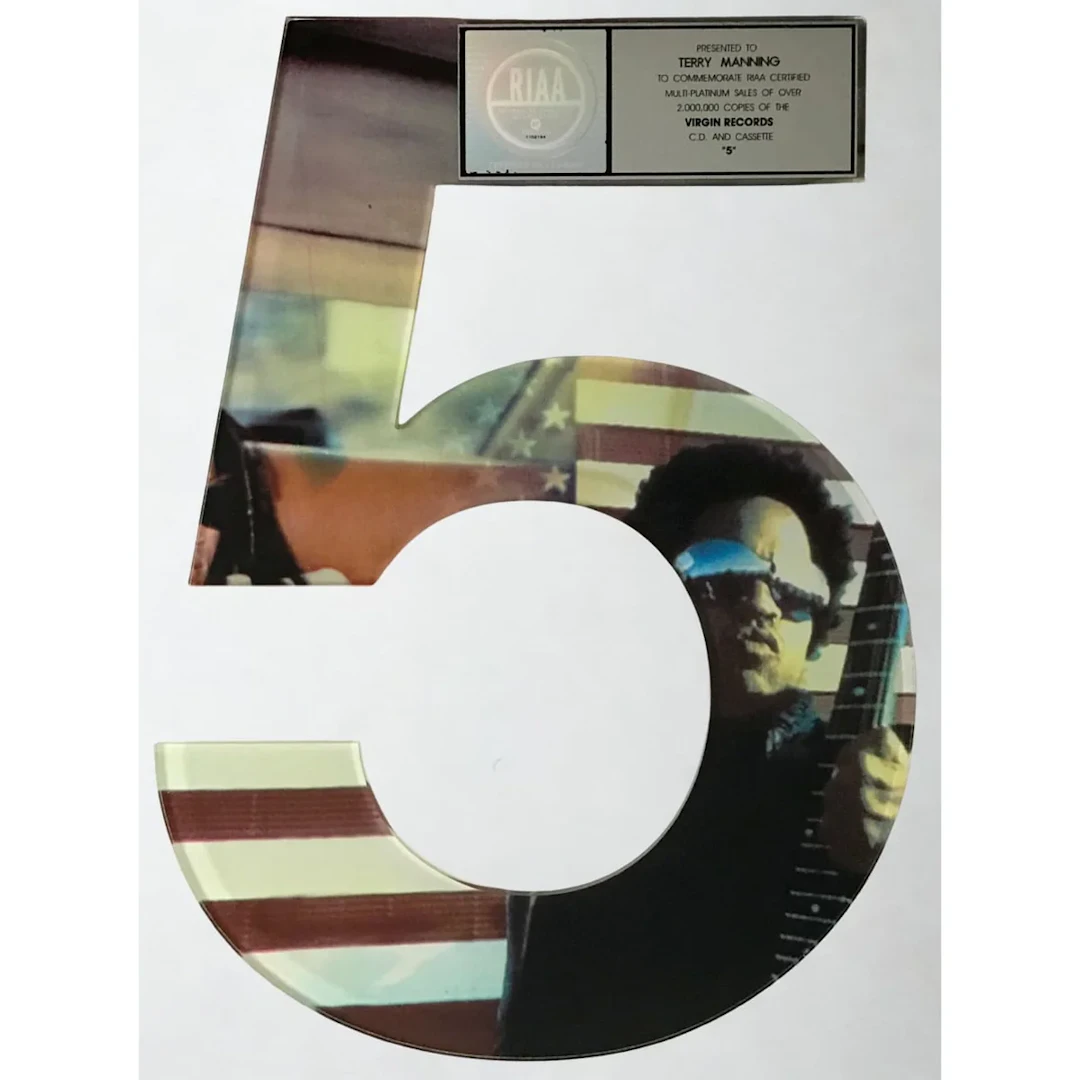 Lenny Kravitz 5 RIAA 2x Multi-Platinum Album Award