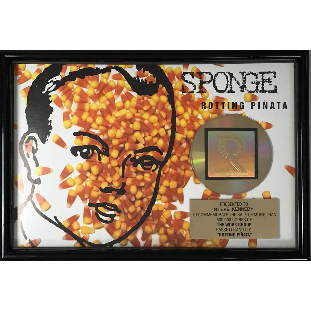 Sponge Rotting Pinata RIAA Gold Album Award