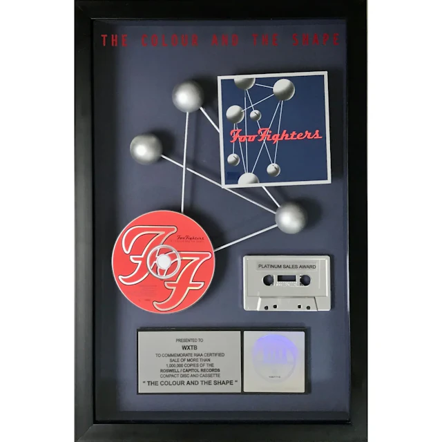 Foo Fighters The Colour And The Shape RIAA Platinum Album Award