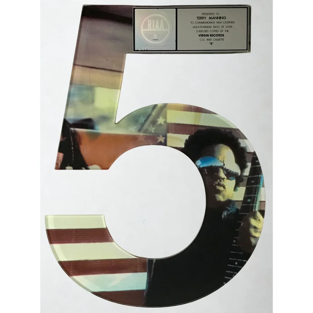Lenny Kravitz 5 RIAA 2x Multi-Platinum Album Award