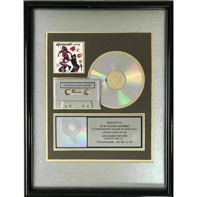 TLC Ooooooohhh... On The TLC Tip RIAA Platinum Album Award