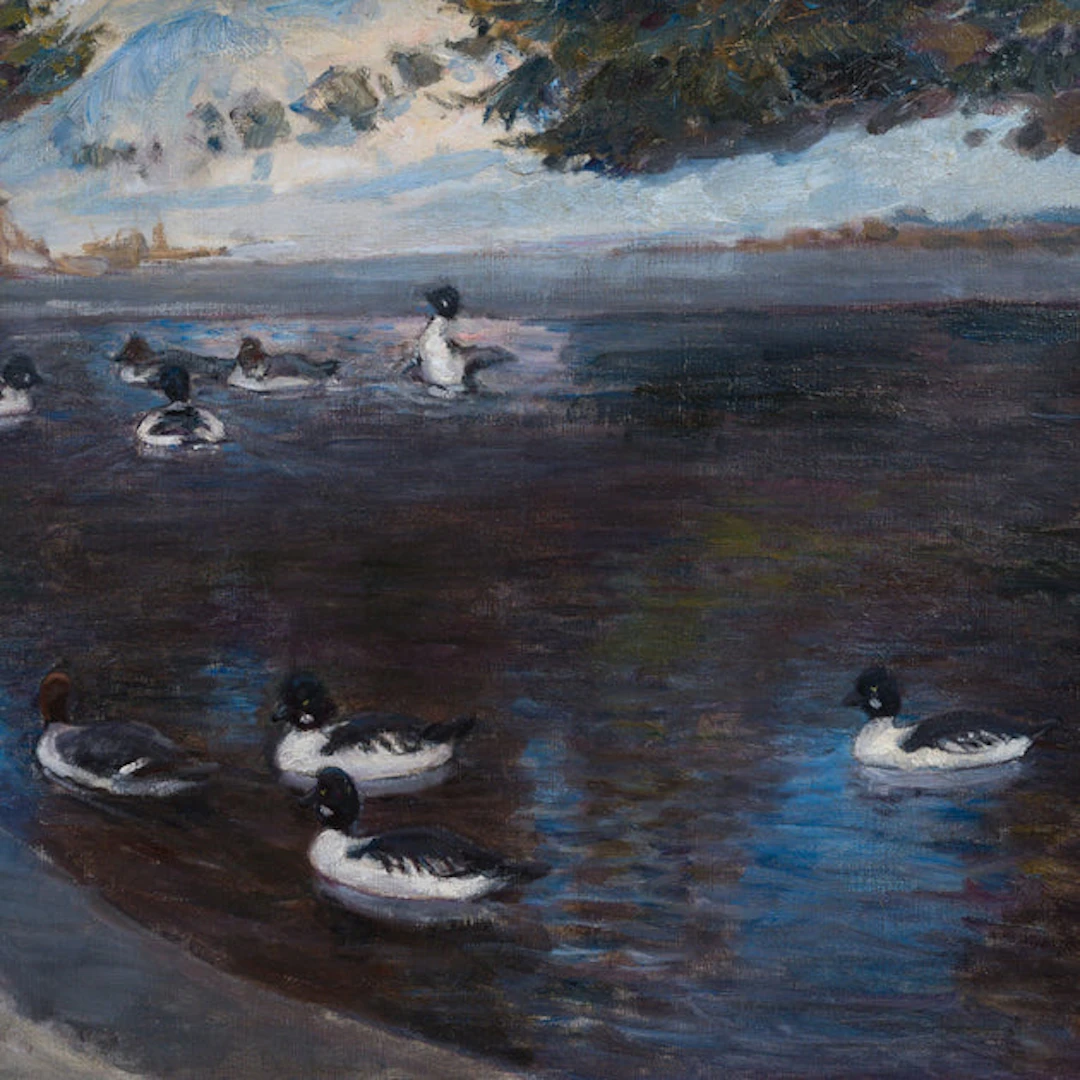 Nils Tirén - Goldeneyes in Thawing Water, 1919