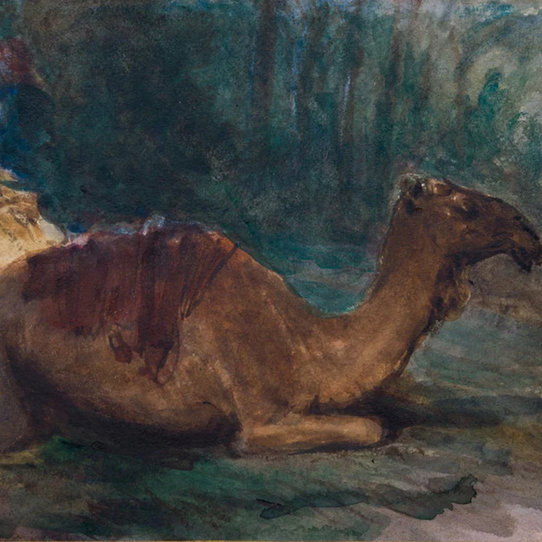 Egron Lundgren - Resting Dromedar