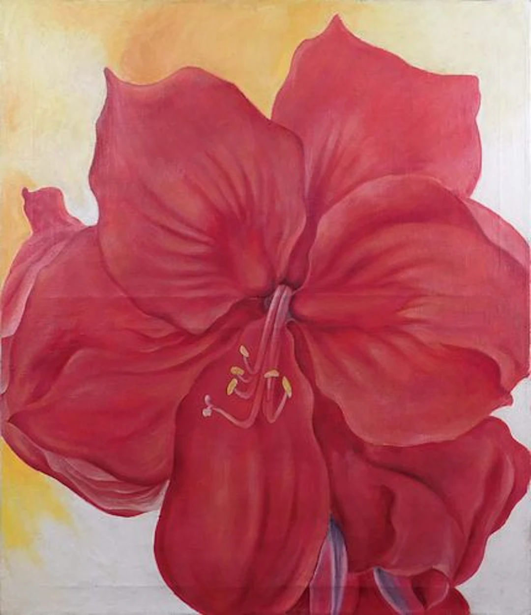 Georgia O'Keeffe, Attributed: Red Amaryllis