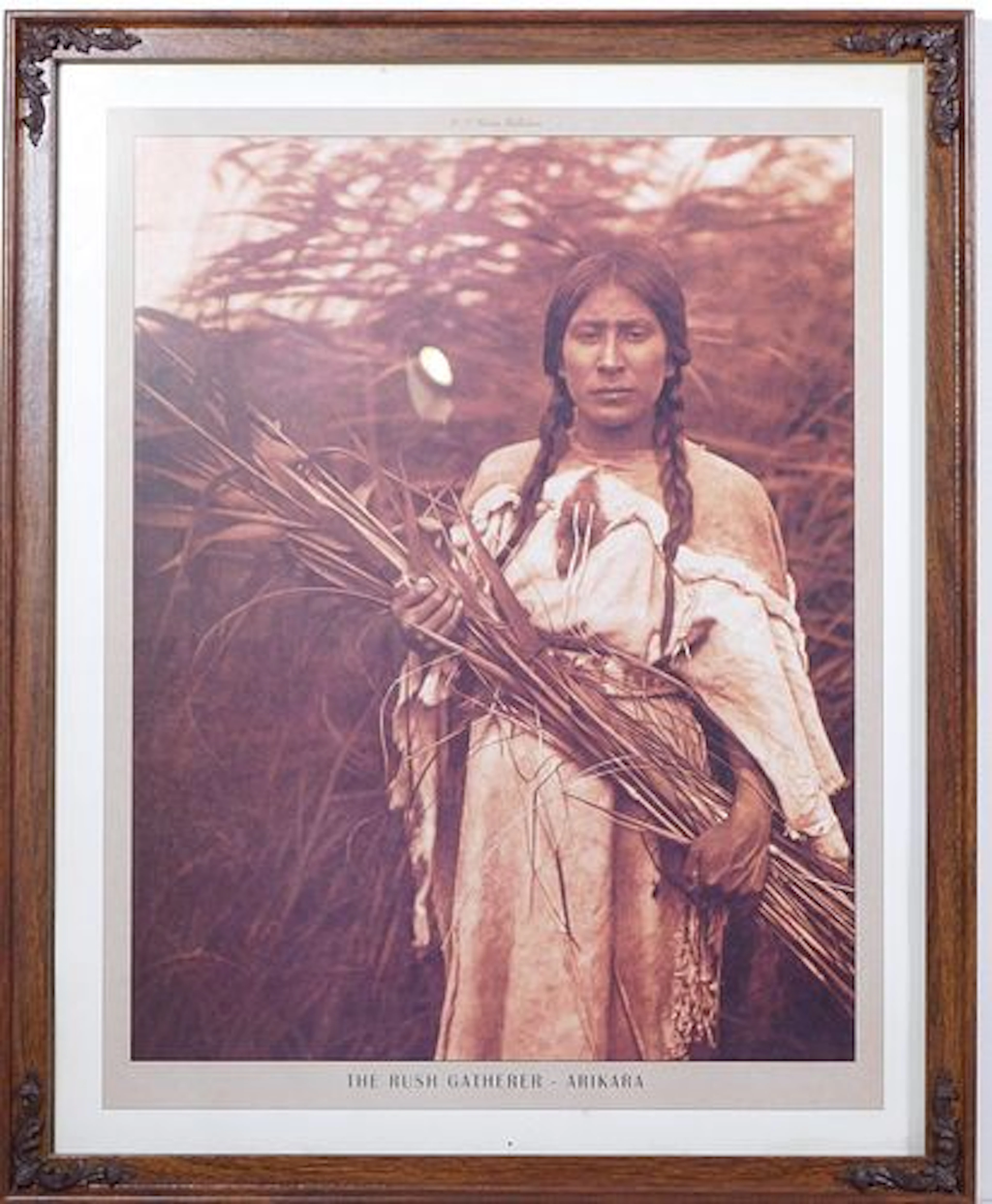 E. F. Curtis: The Rush Gatherer - Arikara