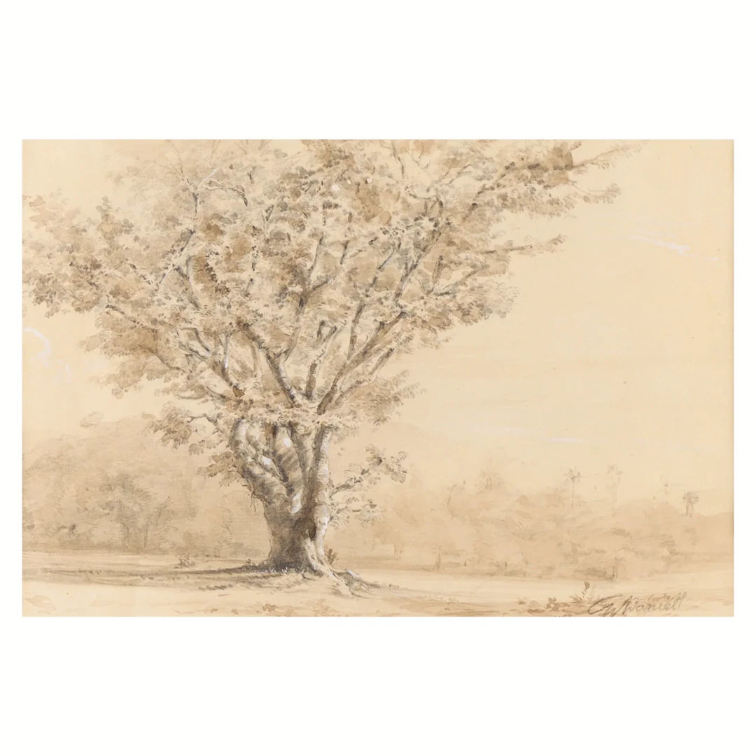 William Daniell "Wooded Landscape" Drawing