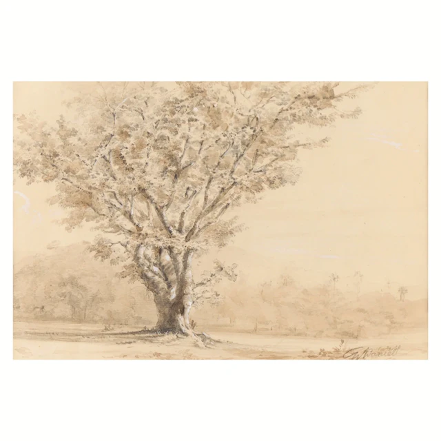 William Daniell "Wooded Landscape" Drawing