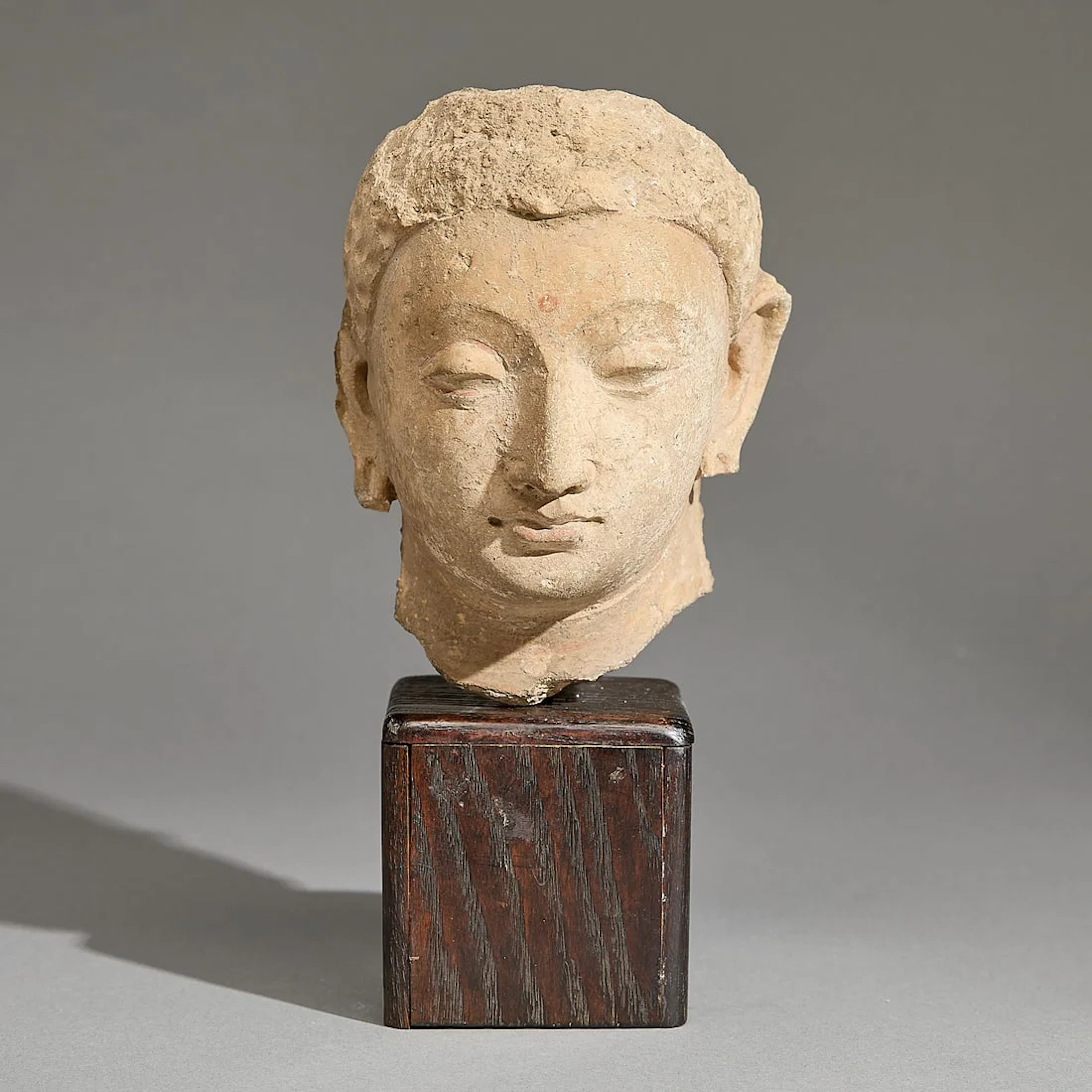 Ancient Gandharan Carved Stucco Head of Buddha