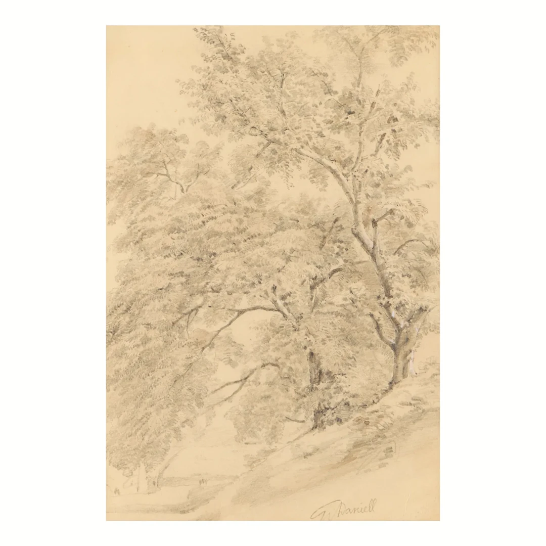 William Daniell Graphite Forest Landscape Drawing