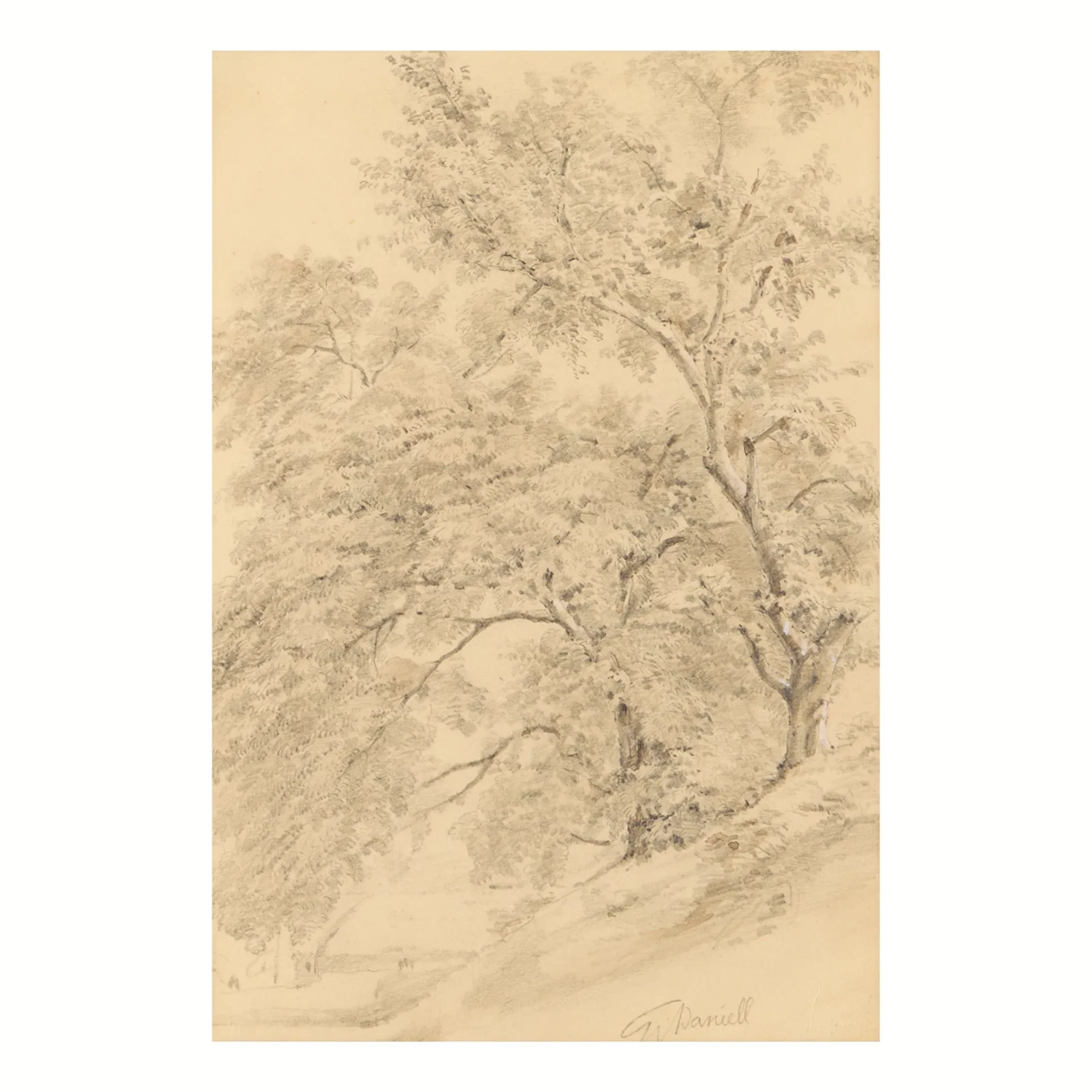 William Daniell Graphite Forest Landscape Drawing