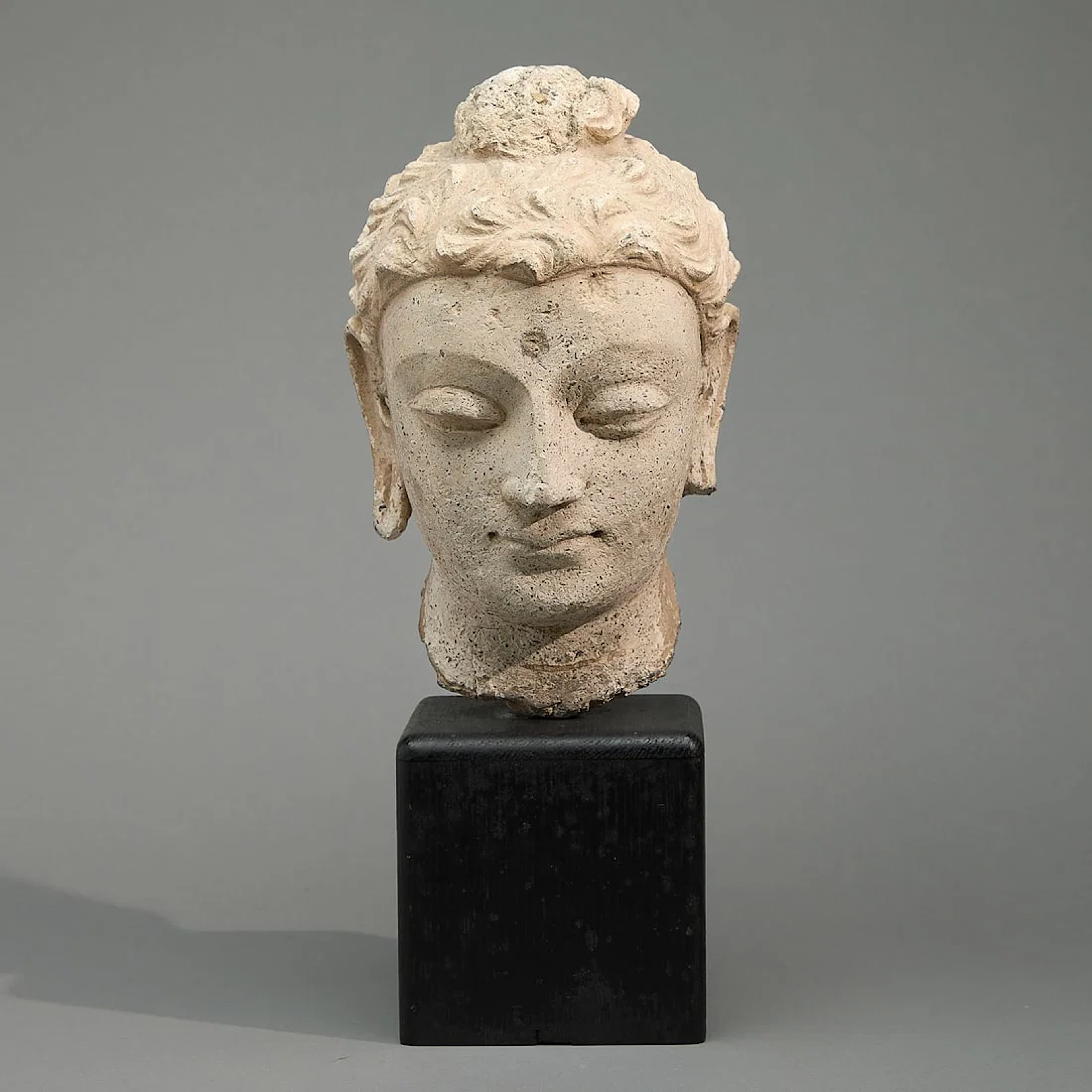 Ancient Gandharan Stucco Buddha Head