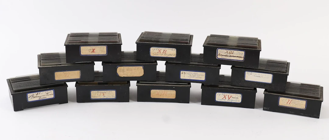 SET OF APPROXIMATELY 270 GLASS PLATES ON WORLD WAR I (1914–1 - Lot 47