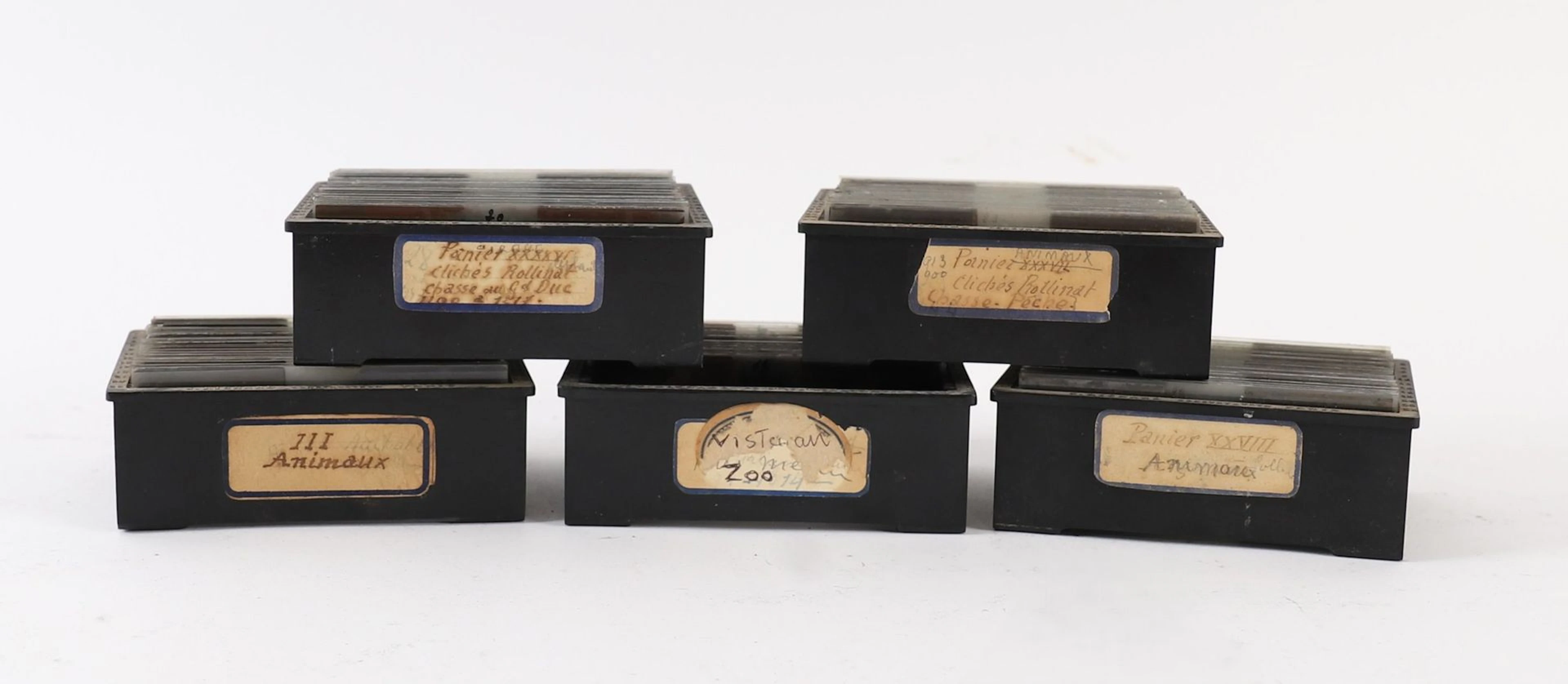 SET OF APPROXIMATELY 118 PLATES ON THE THEME OF ZOOLOGY - Lot 49