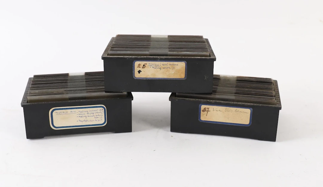 SET OF APPROXIMATELY 73 PLATES FROM THE 1914 MONACO AIR SHOW - Lot 45