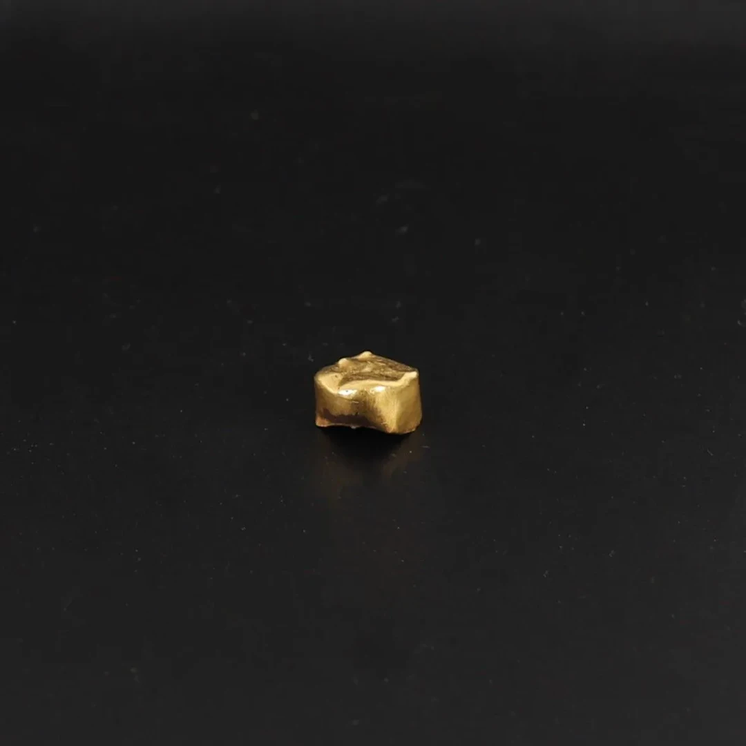 GOLD TOOTH - Lot 32